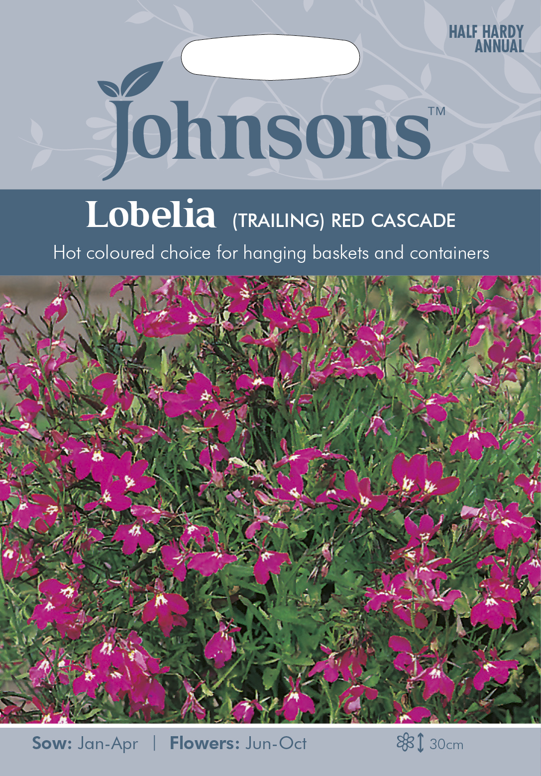 Fræ Lobelia (Trailing) Red Cascade