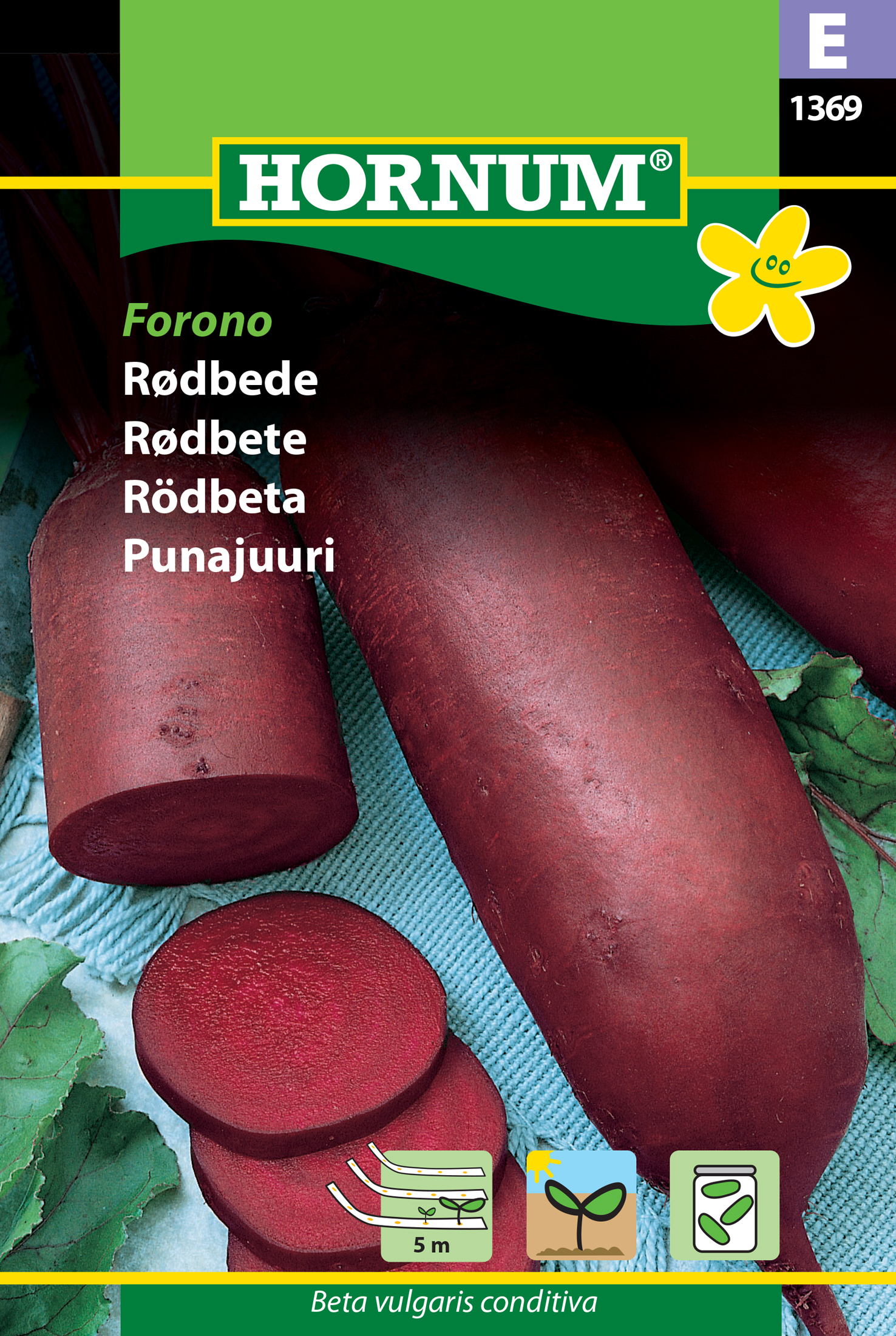 Fræ Rauðrófa Beta vulgaris conditiva Forono