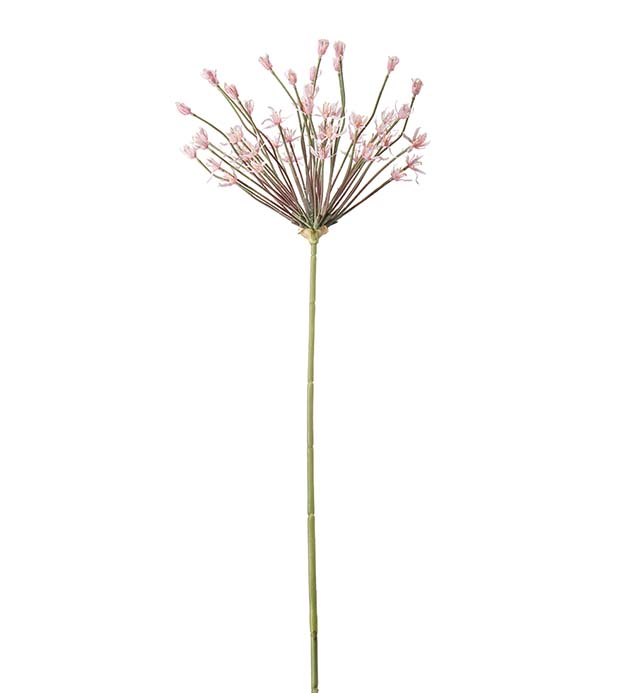 Gervi Allium 107cm rosa