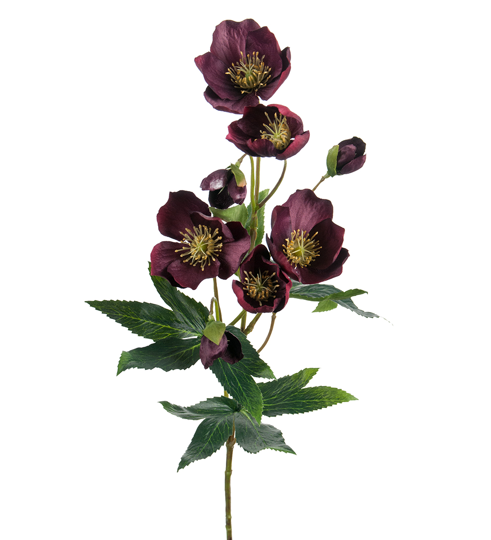 Gervi Clematis 57cm dökk vínrauð