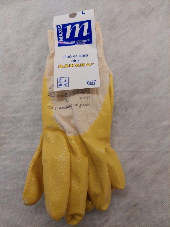 SAHARA VINNUHANSKAR L