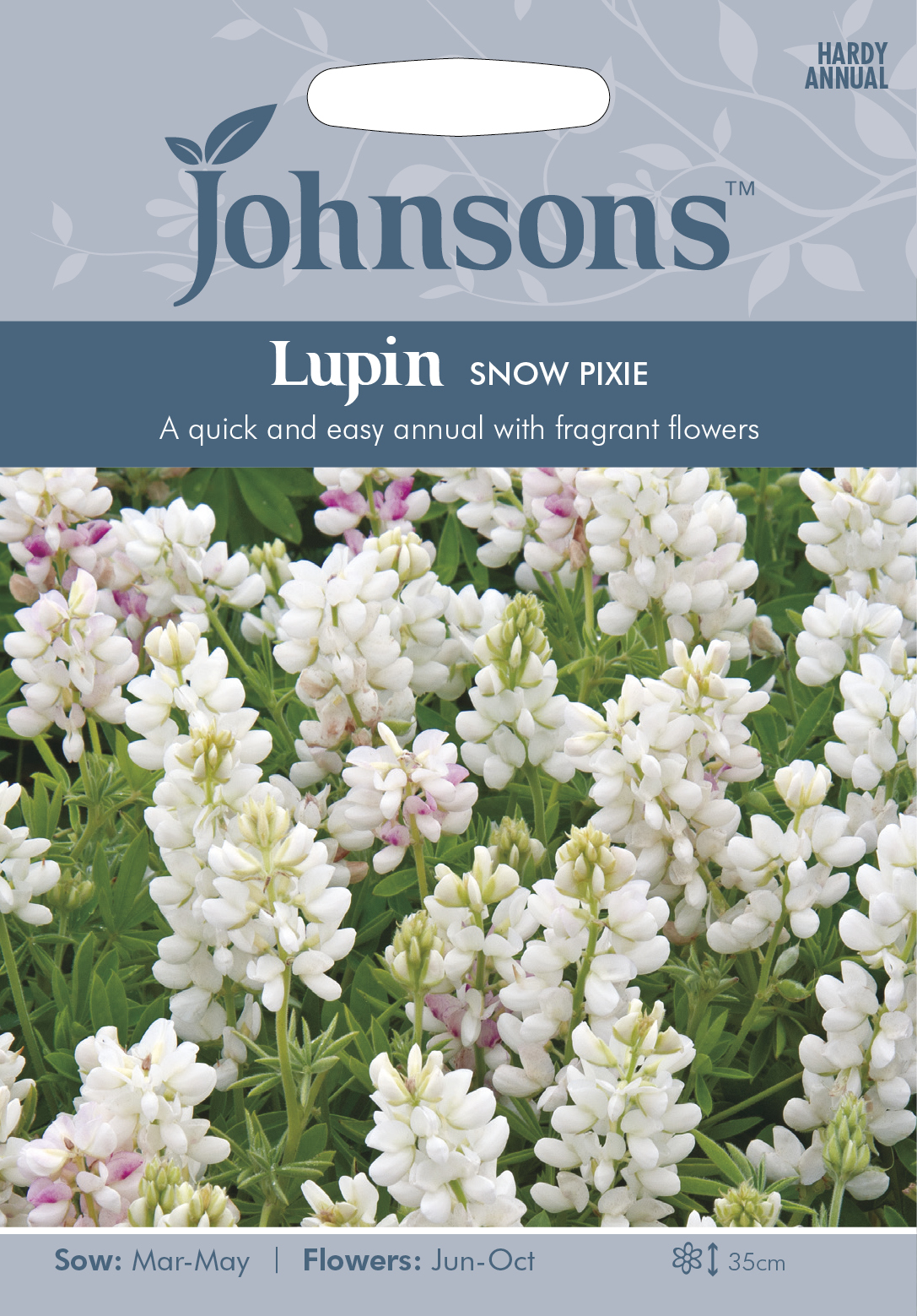 Fræ Lupin Snow Pixie