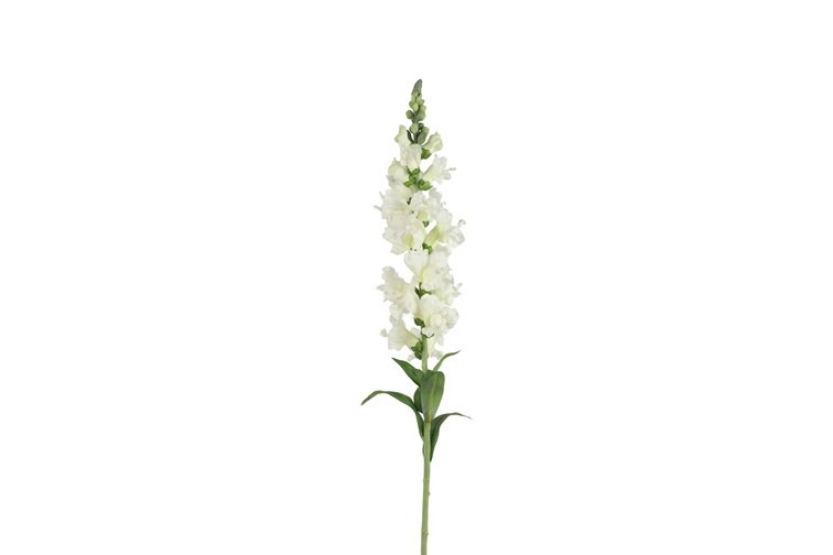 Gervi Antirrhinum majus 92cm hvítt