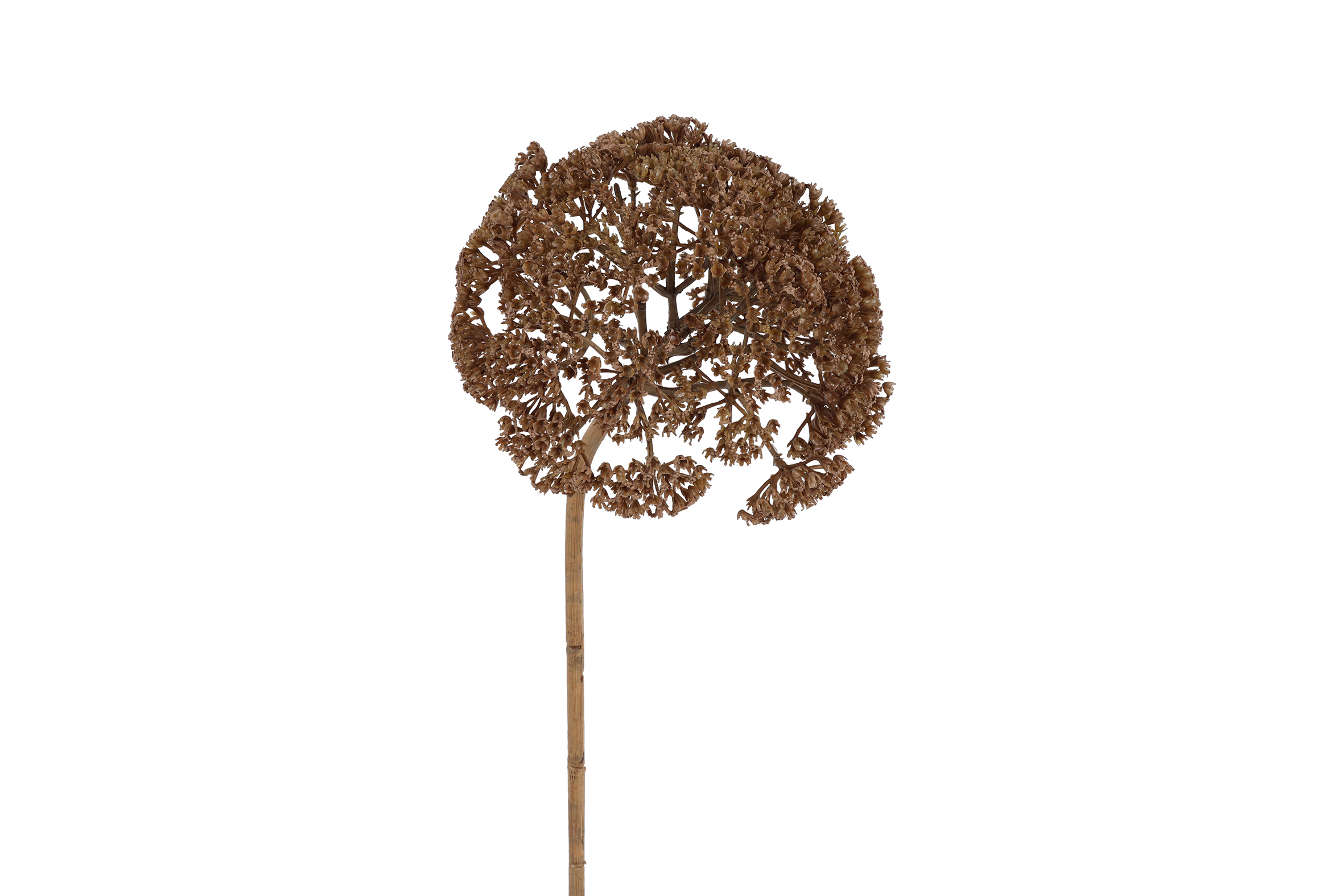 Gervi Achillea l brúnn 77,5cm