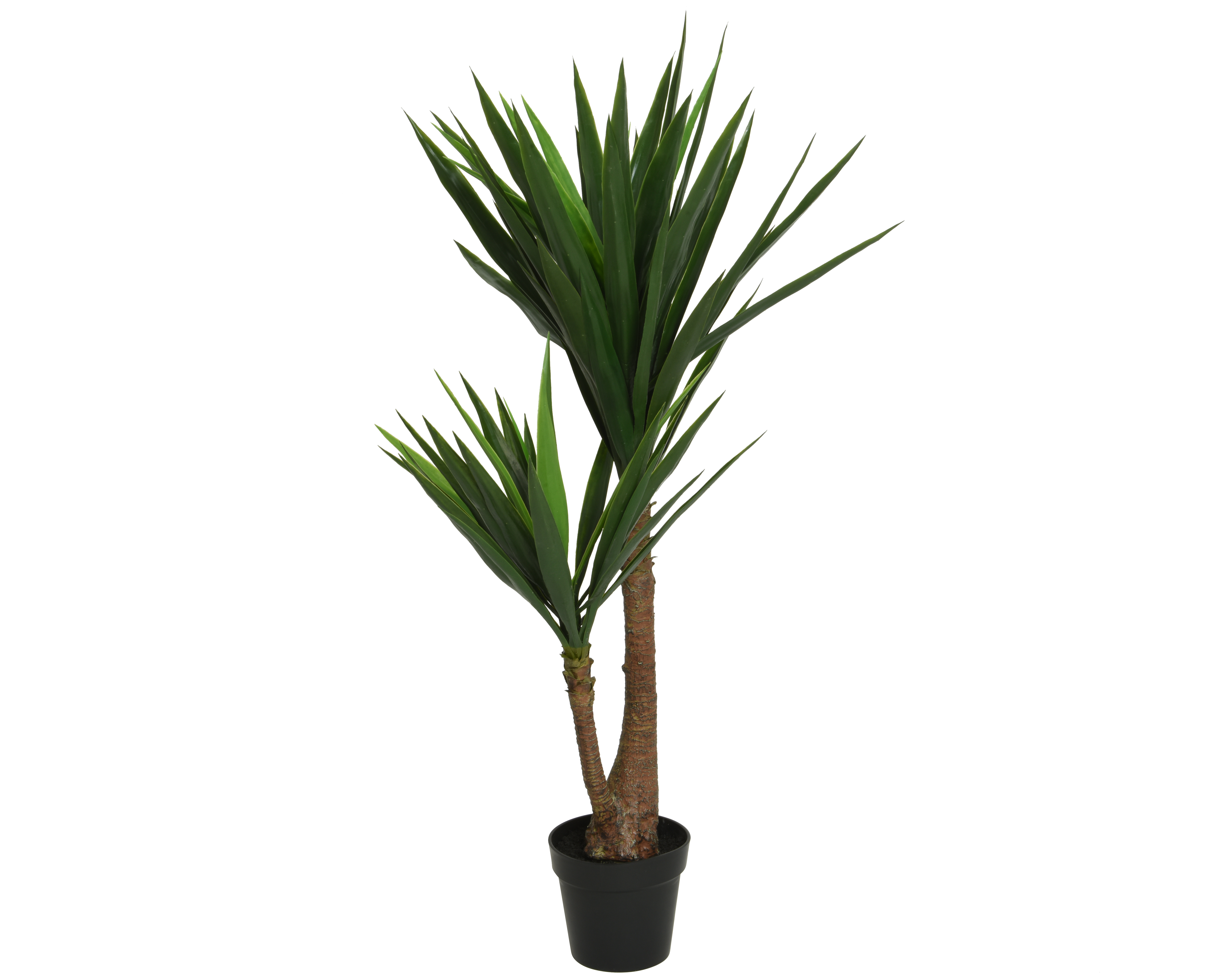 Gervi yucca í potti 122cm