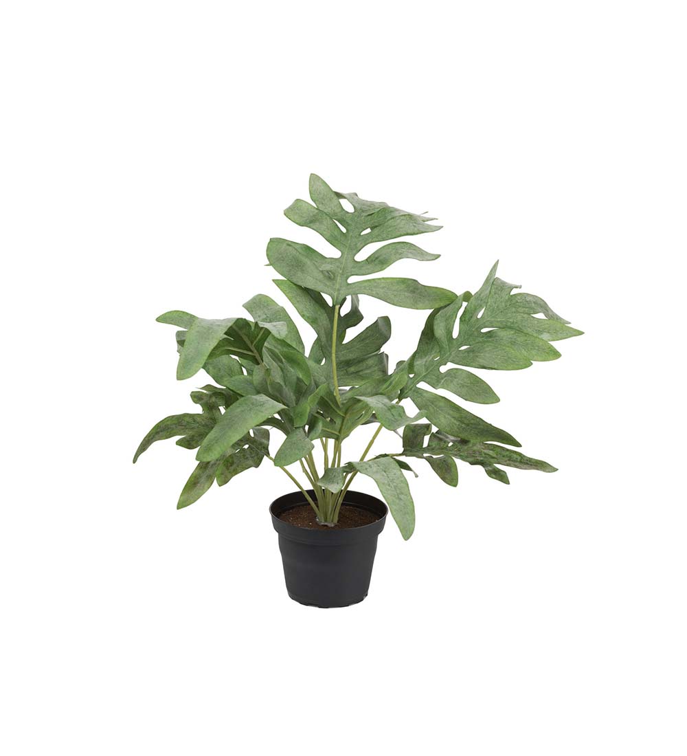 Gervi Burkni í potti