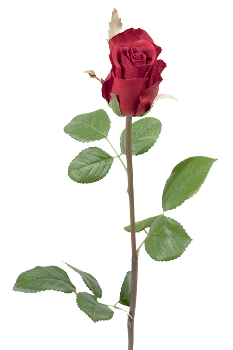 Gervi rós rauð grein 50cm