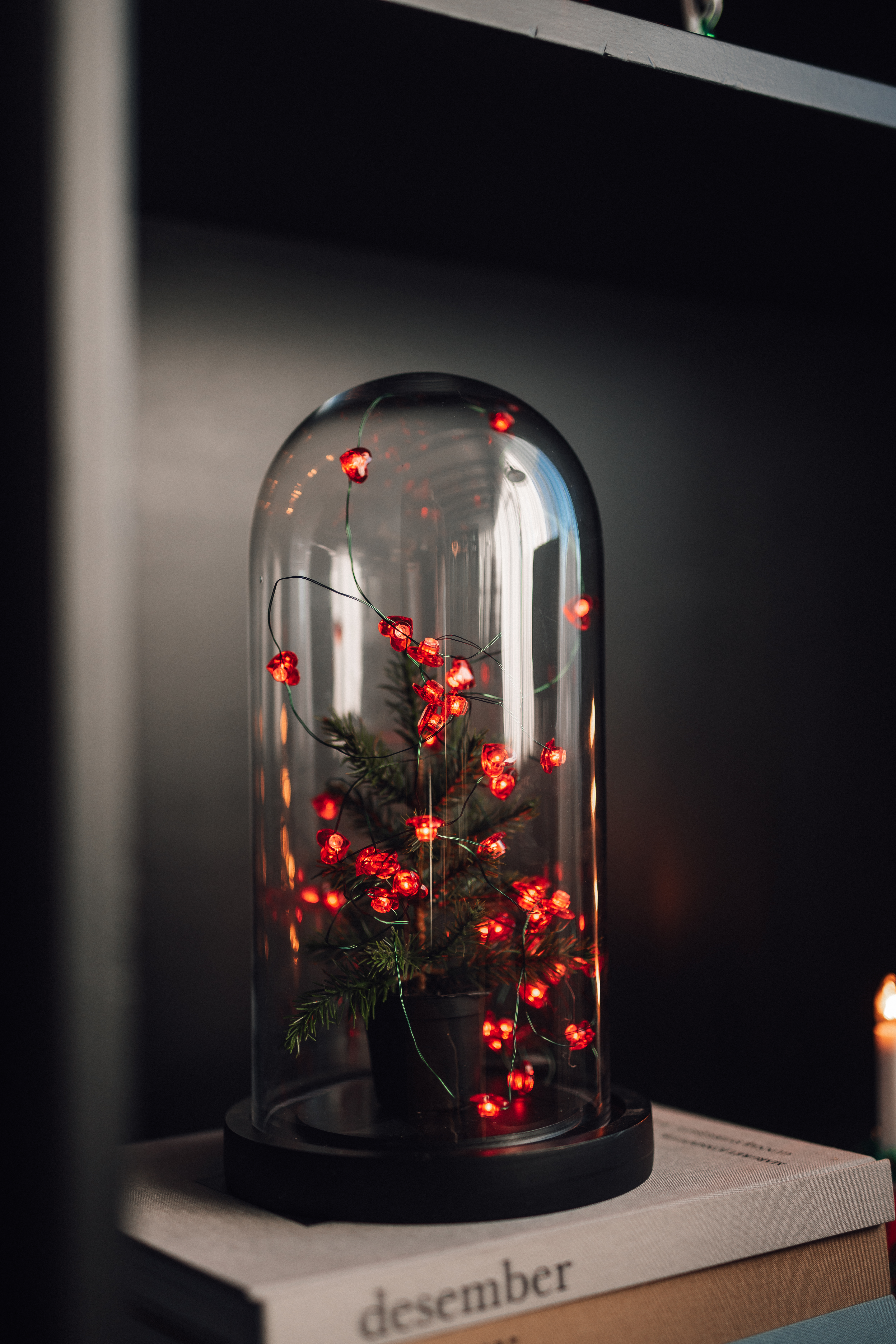 Gervi Grenitré í potti H18cm