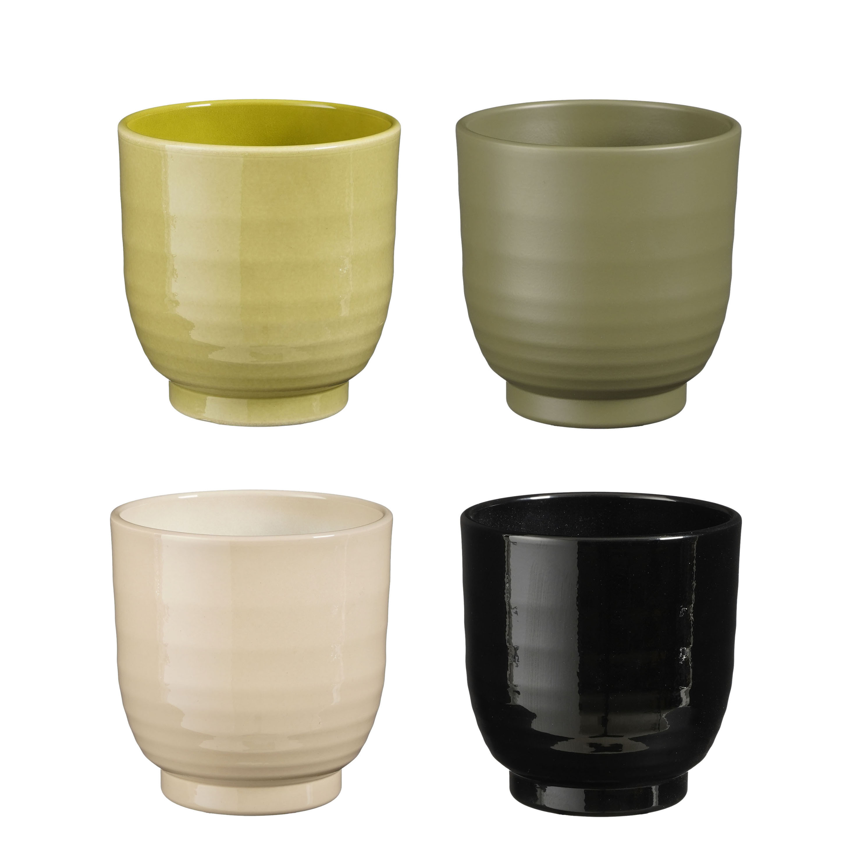 Pottur Lisa 4 mism. litir