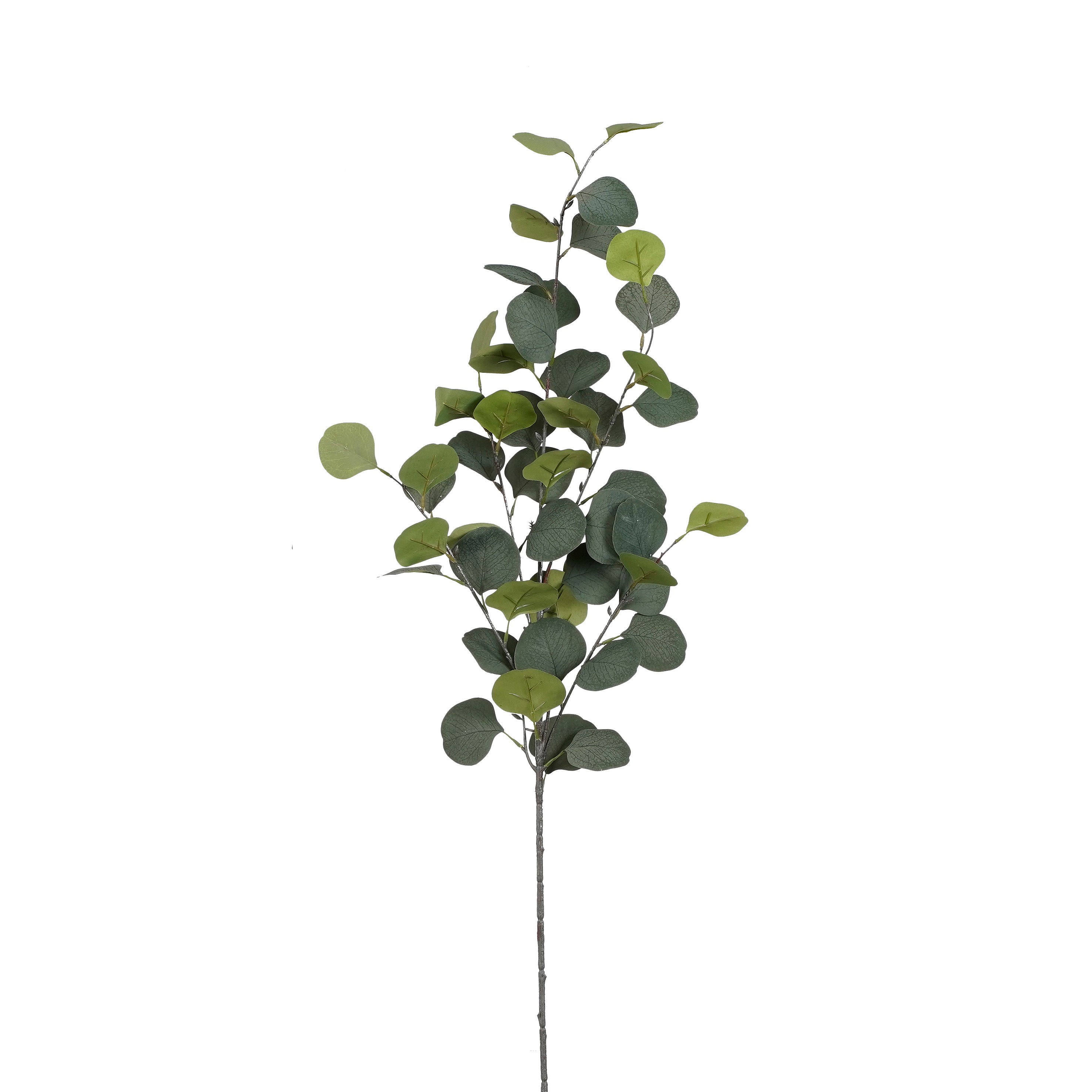 Gerviblóm Eucalyptus 90cm