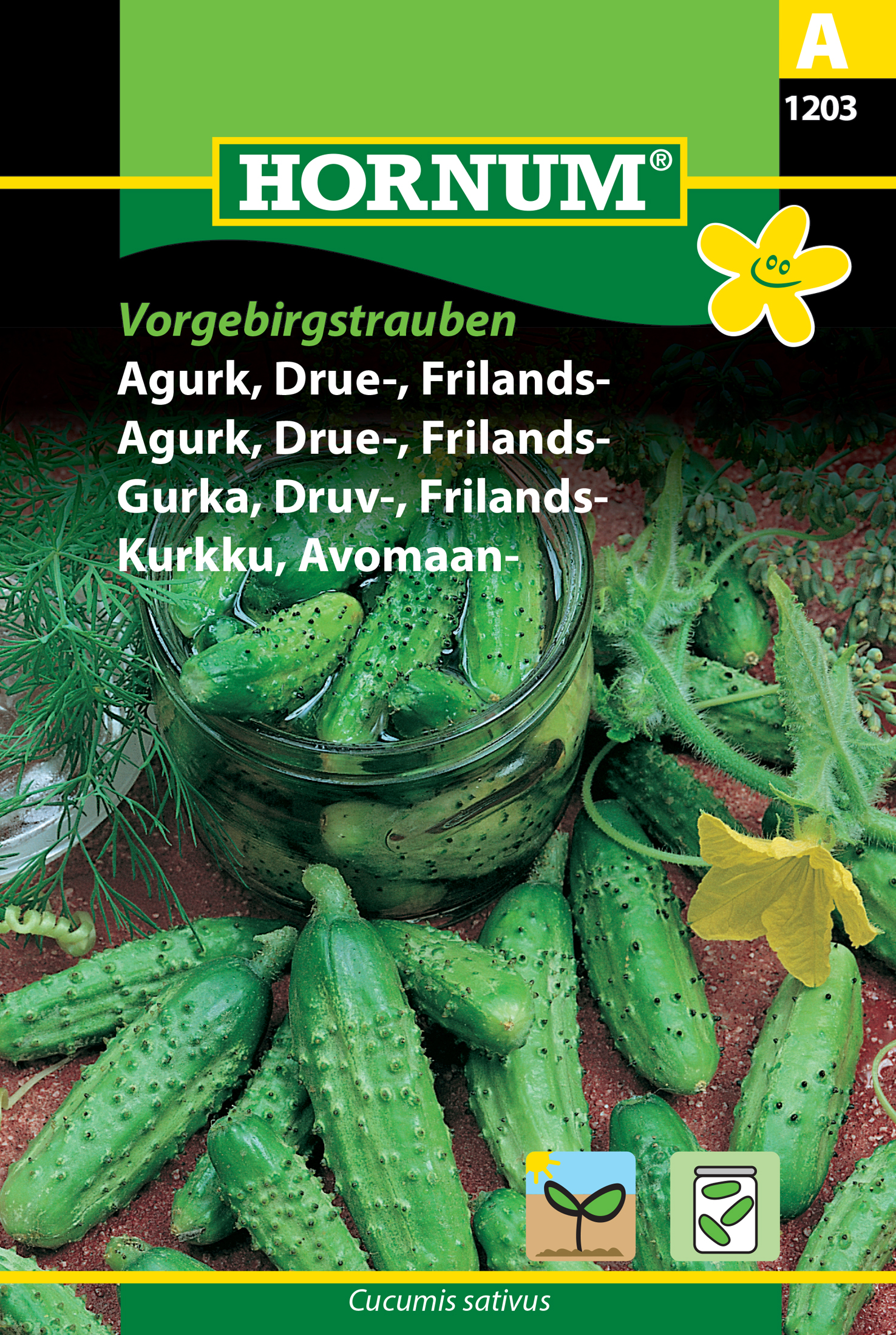 Fræ Agúrka Cucumis sativus Vorgebirgstrauben