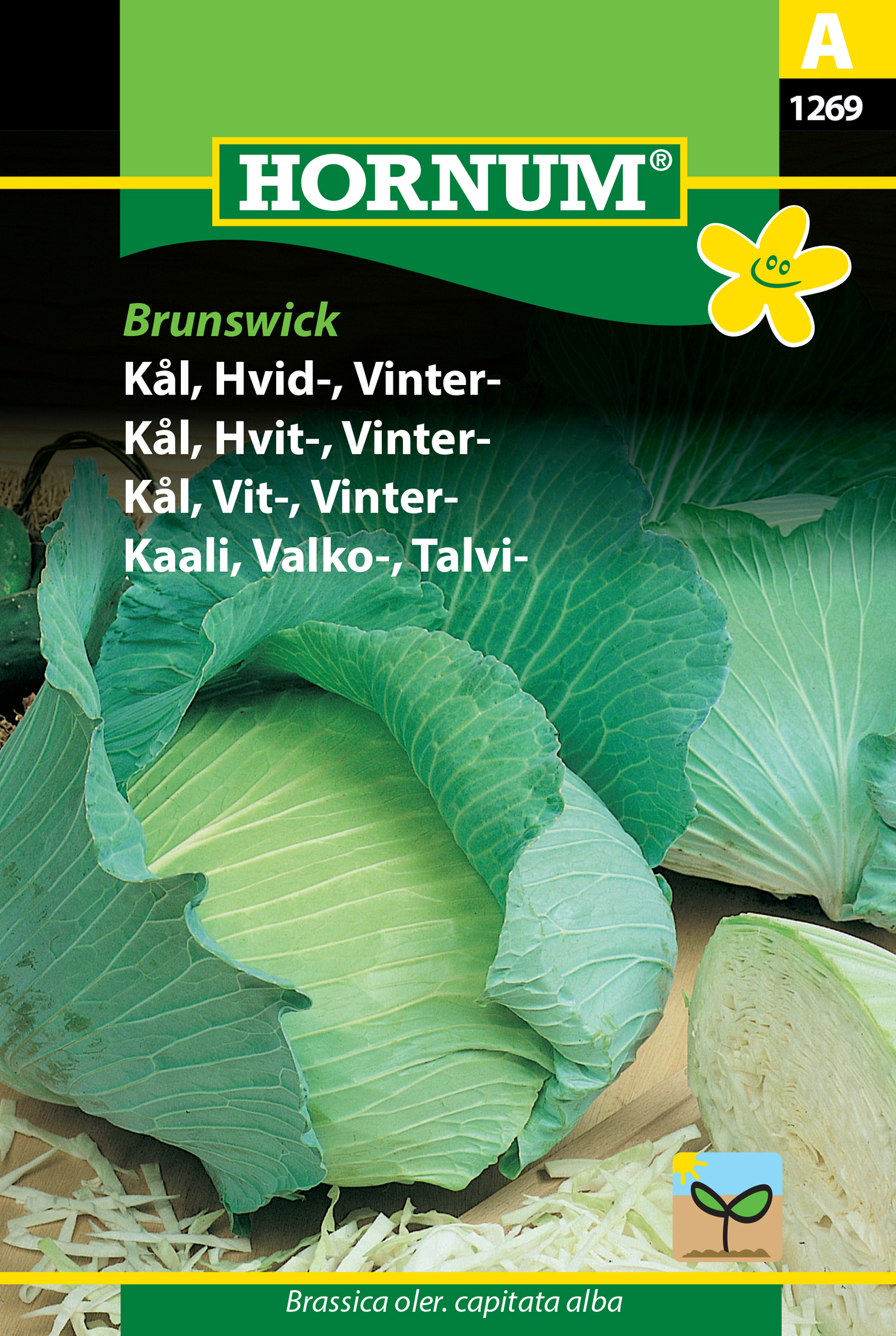 Fræ Hvítkál Brassica oler.capitata alba Brunswick