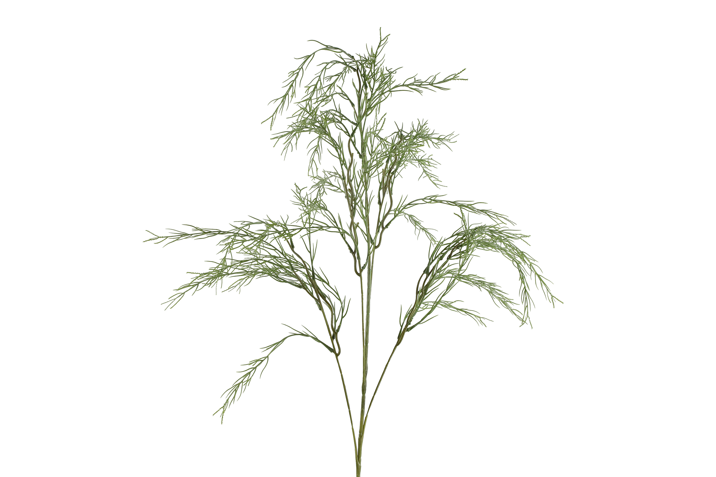 Gervi Asparagus 116cm grænn