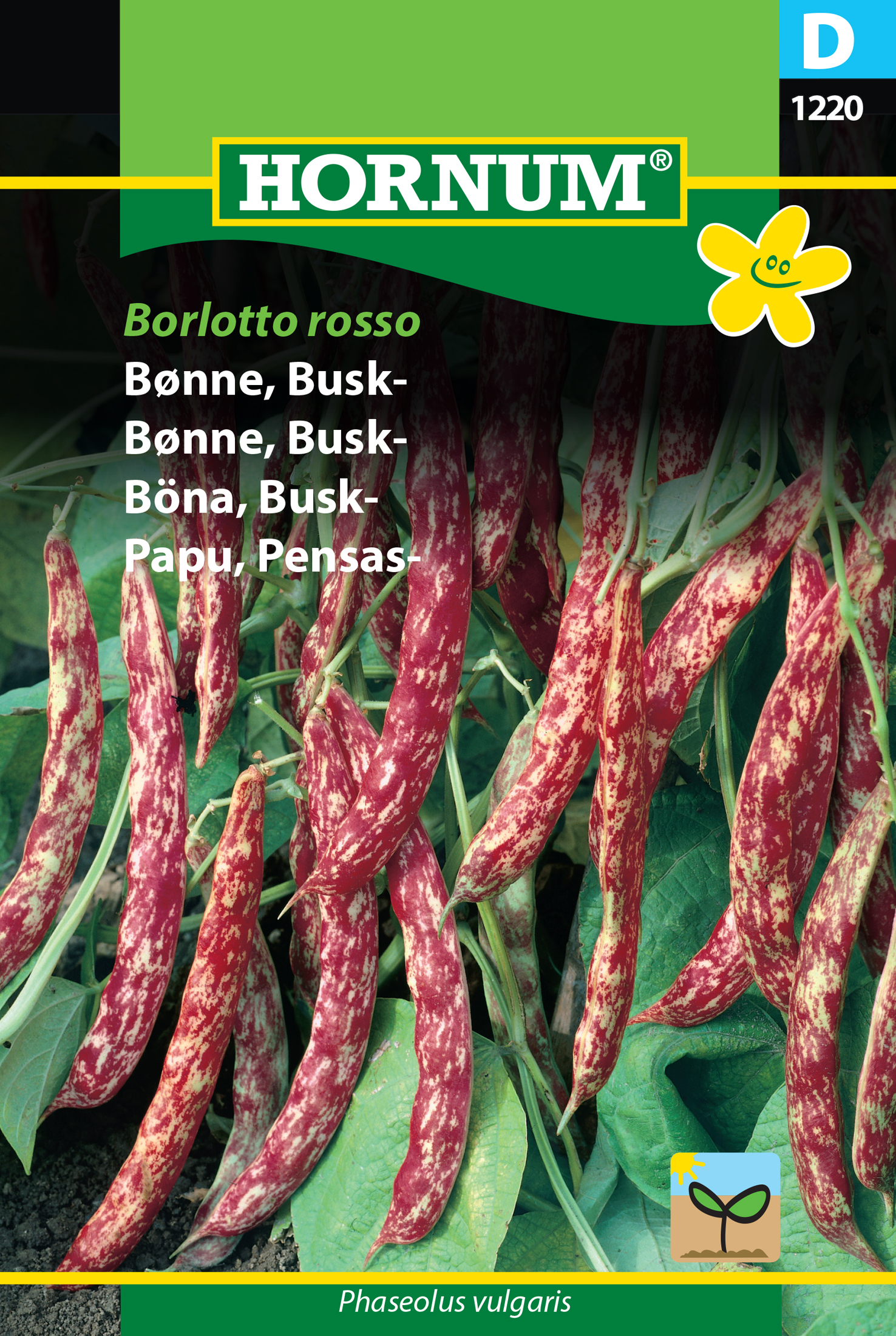 Fræ Matbaun Phaseolus vulgaris Borlotto rosso