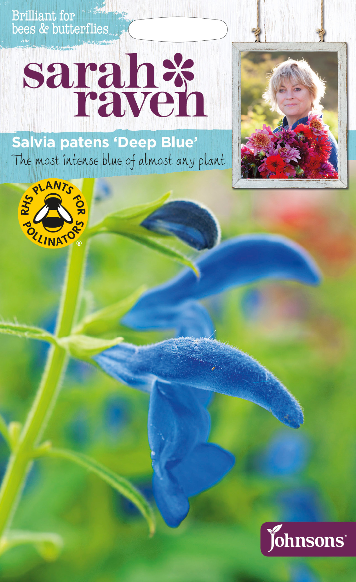 Fræ Salvia Deep Blue