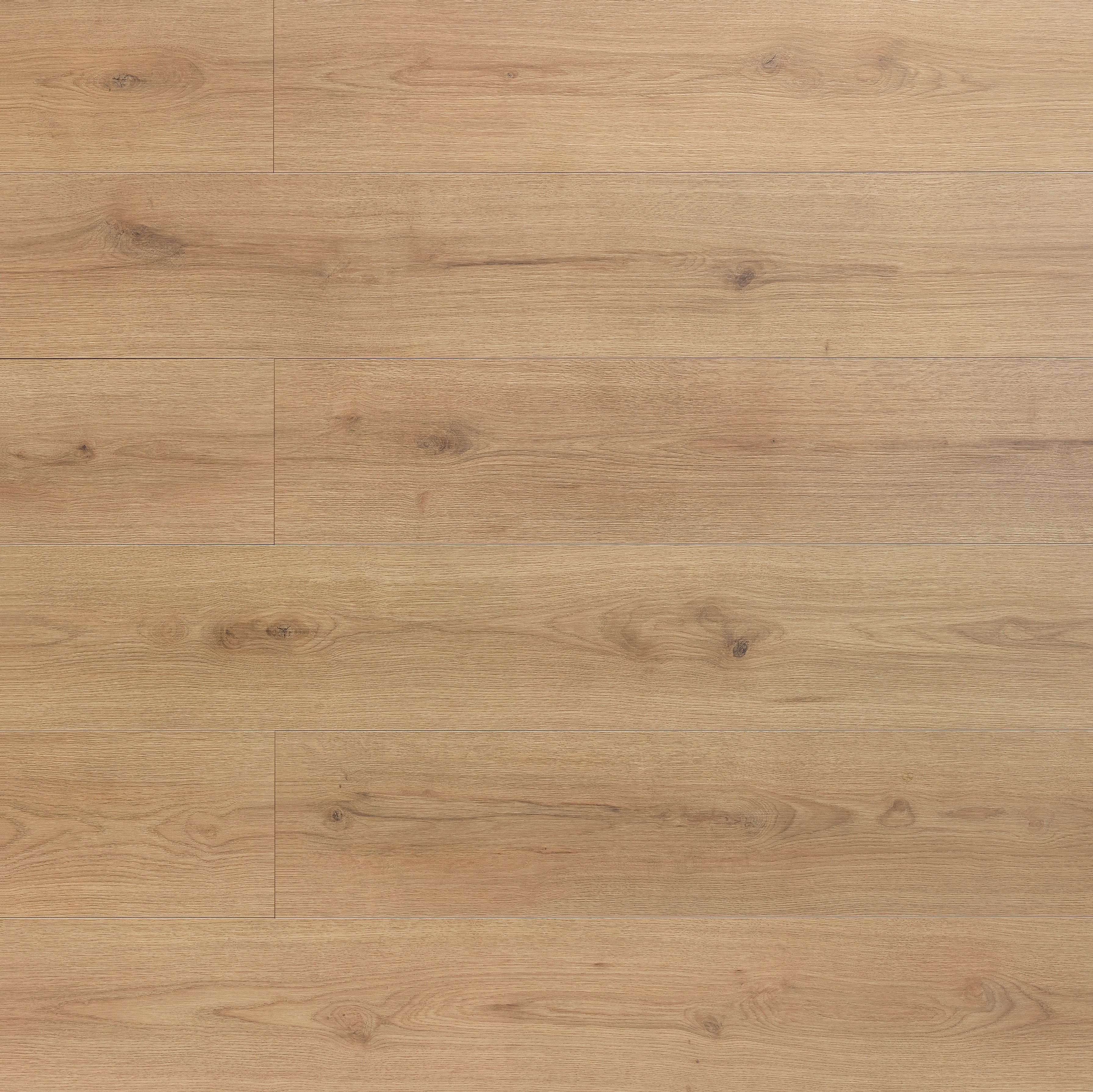 Harðparket 10 mm Sacramento Eik 1286x214, WR606