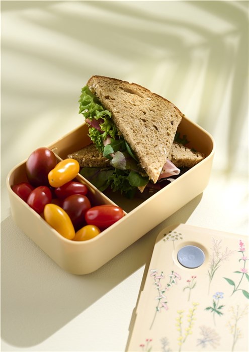 Nestisbox með teygju