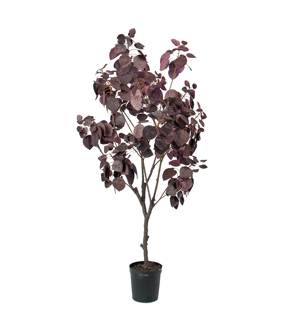 Gervi Cotinus í pt. 140cm