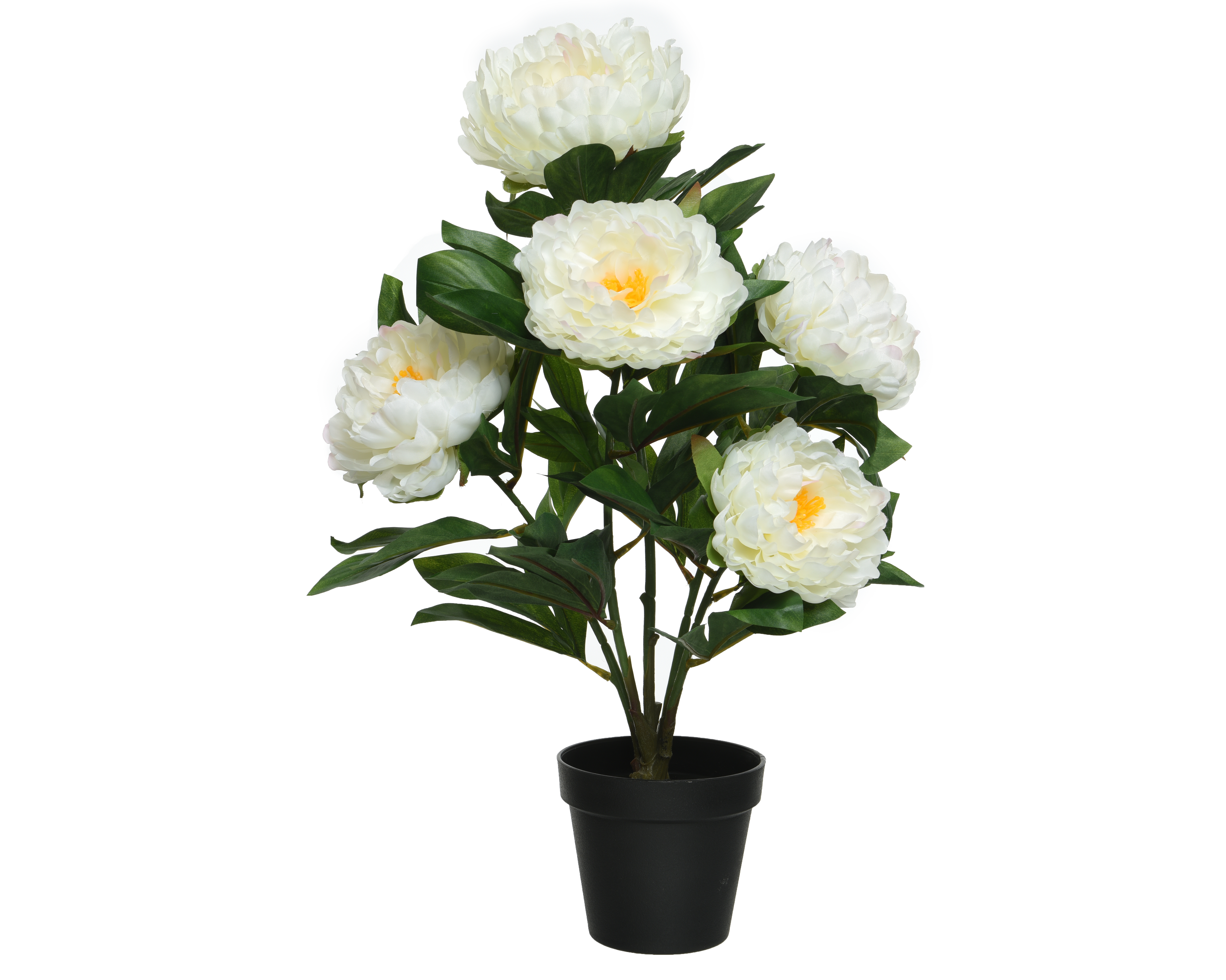Gervi peony rose hvítt 57cm