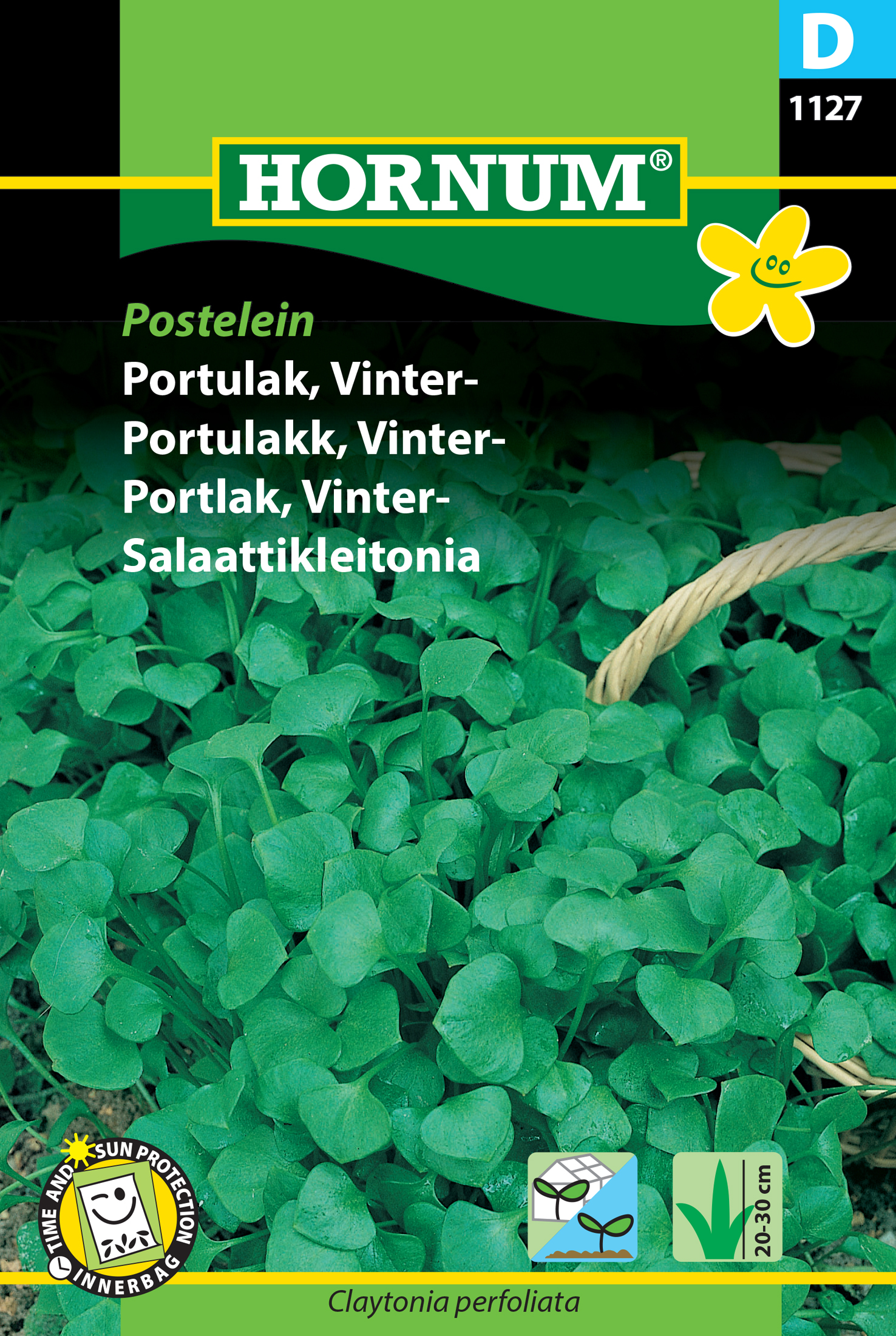 Fræ Diskgrýta Claytonia perfoliata Postelein