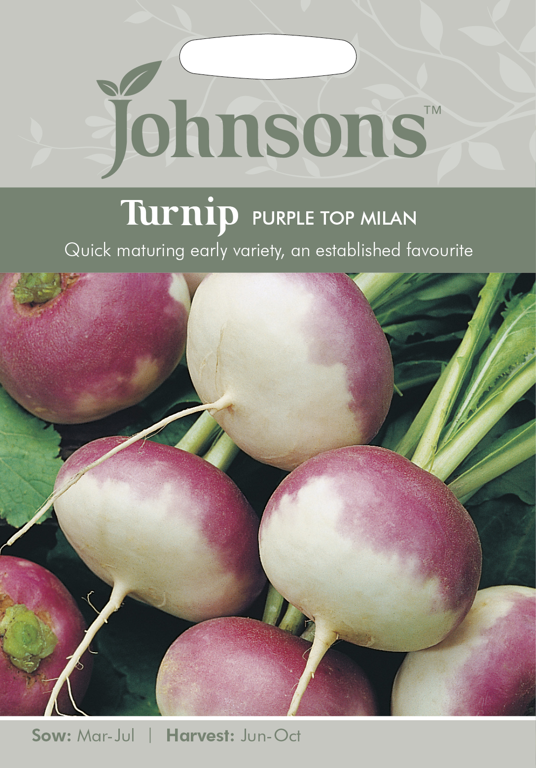 Fræ Turnip Purple Top Milan