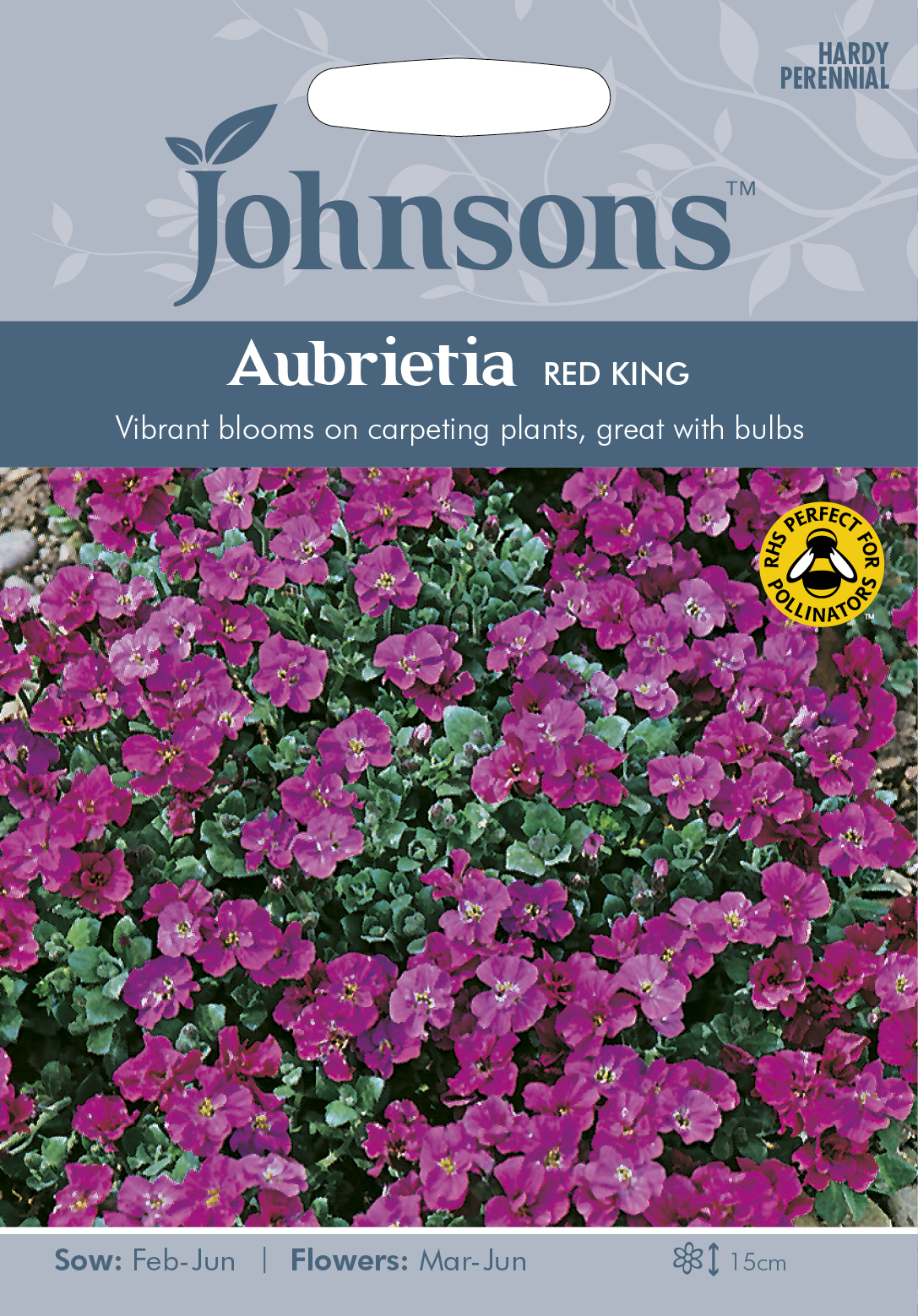 Fræ Aubrietia Red King