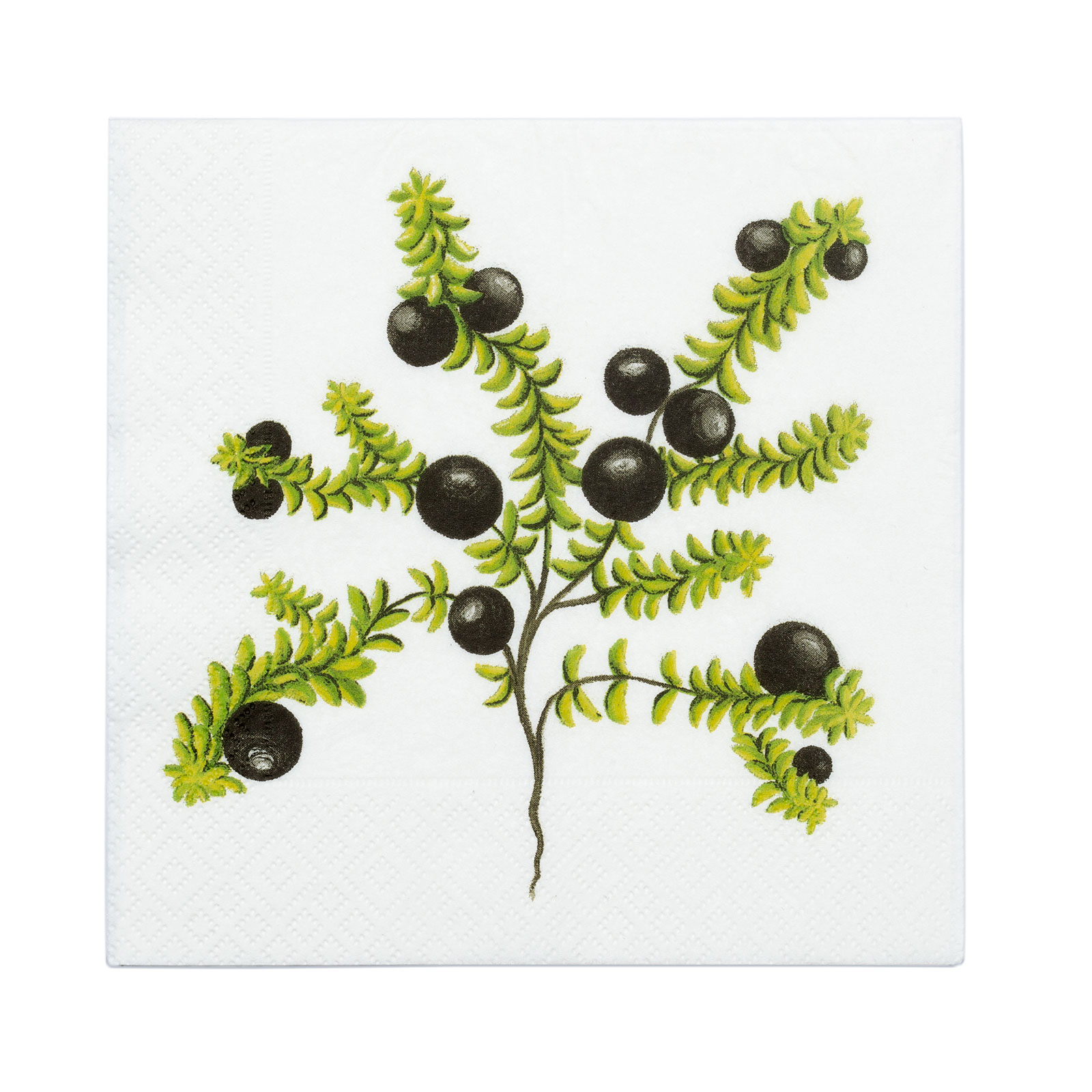 SERV.33X33 KRÆKIBER