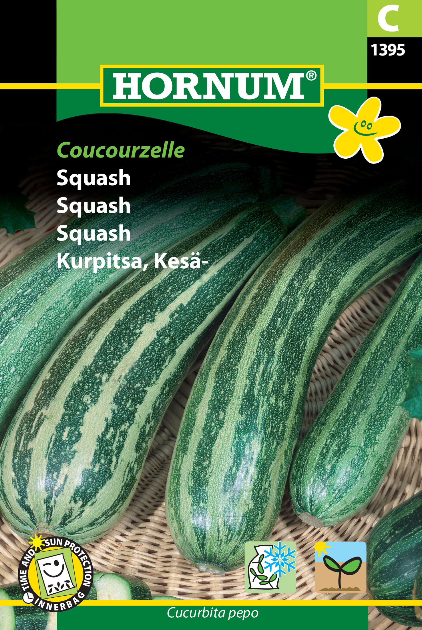 Fræ Kúrbítur Cucurbita pepo Coucourzelle