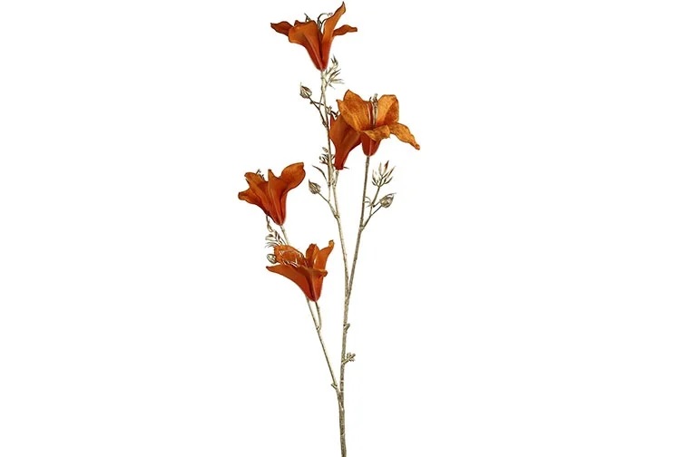 Gervi bauhinia 84cm orange