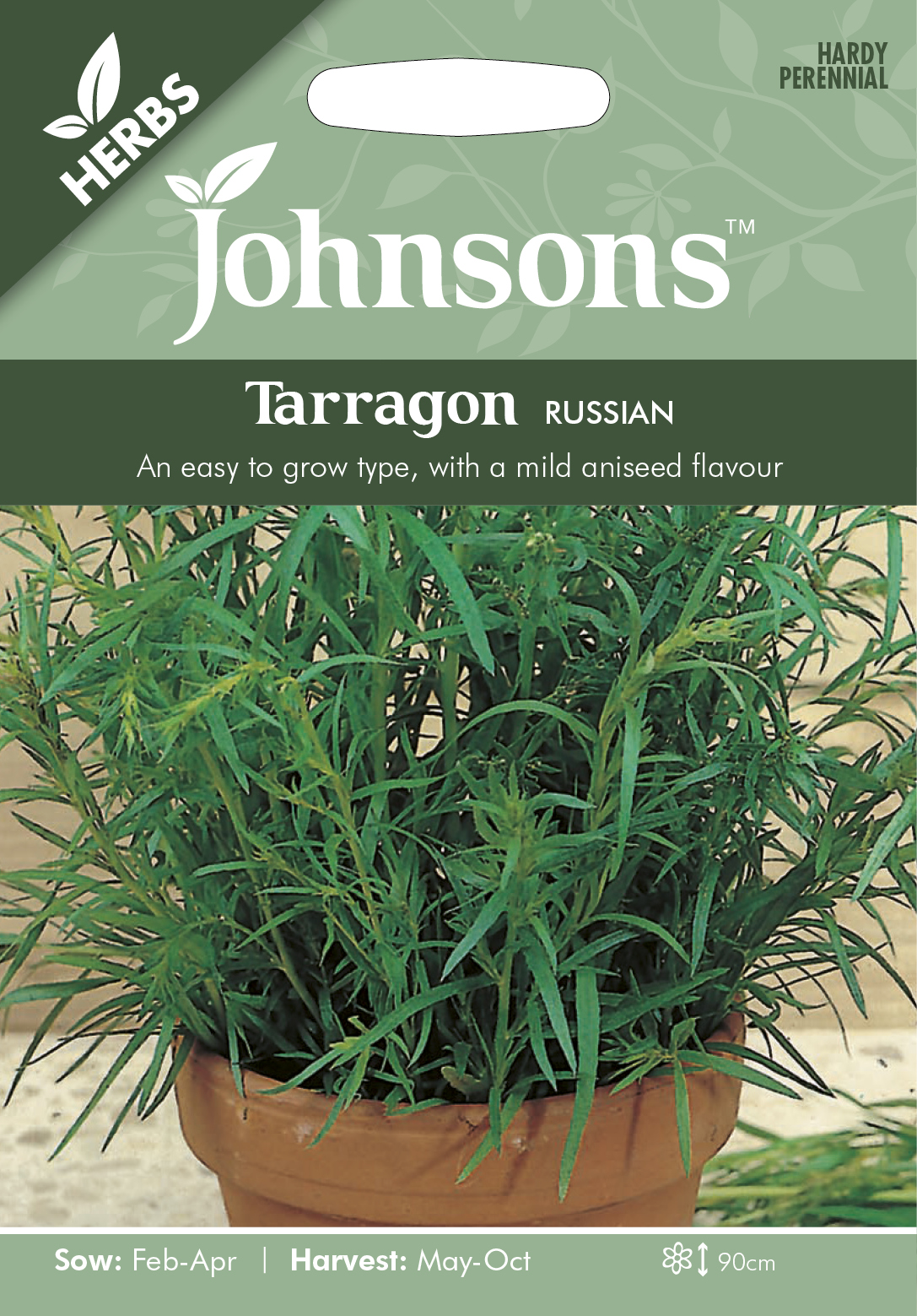 Fræ Tarragon Russian