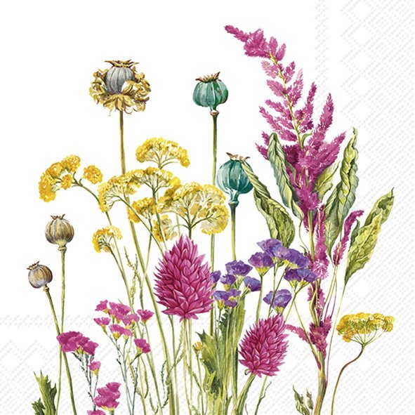 Servíettur 25*25cm Evergreen