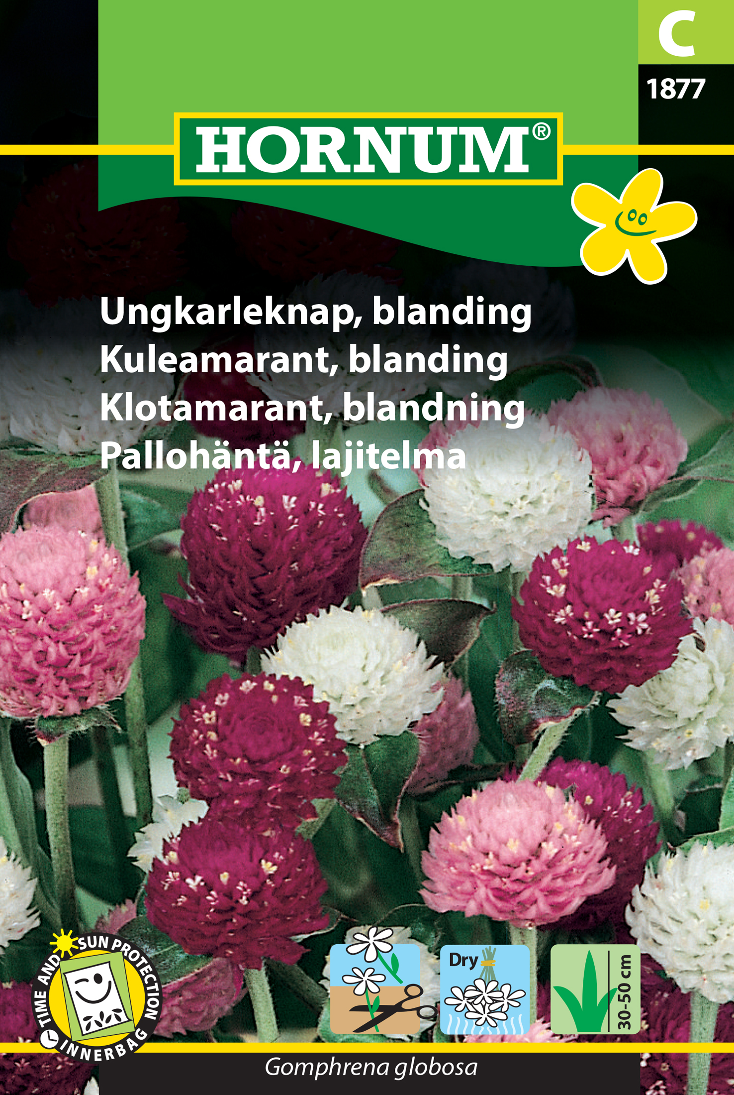 Fræ Hnatthali Gomphrena globosa