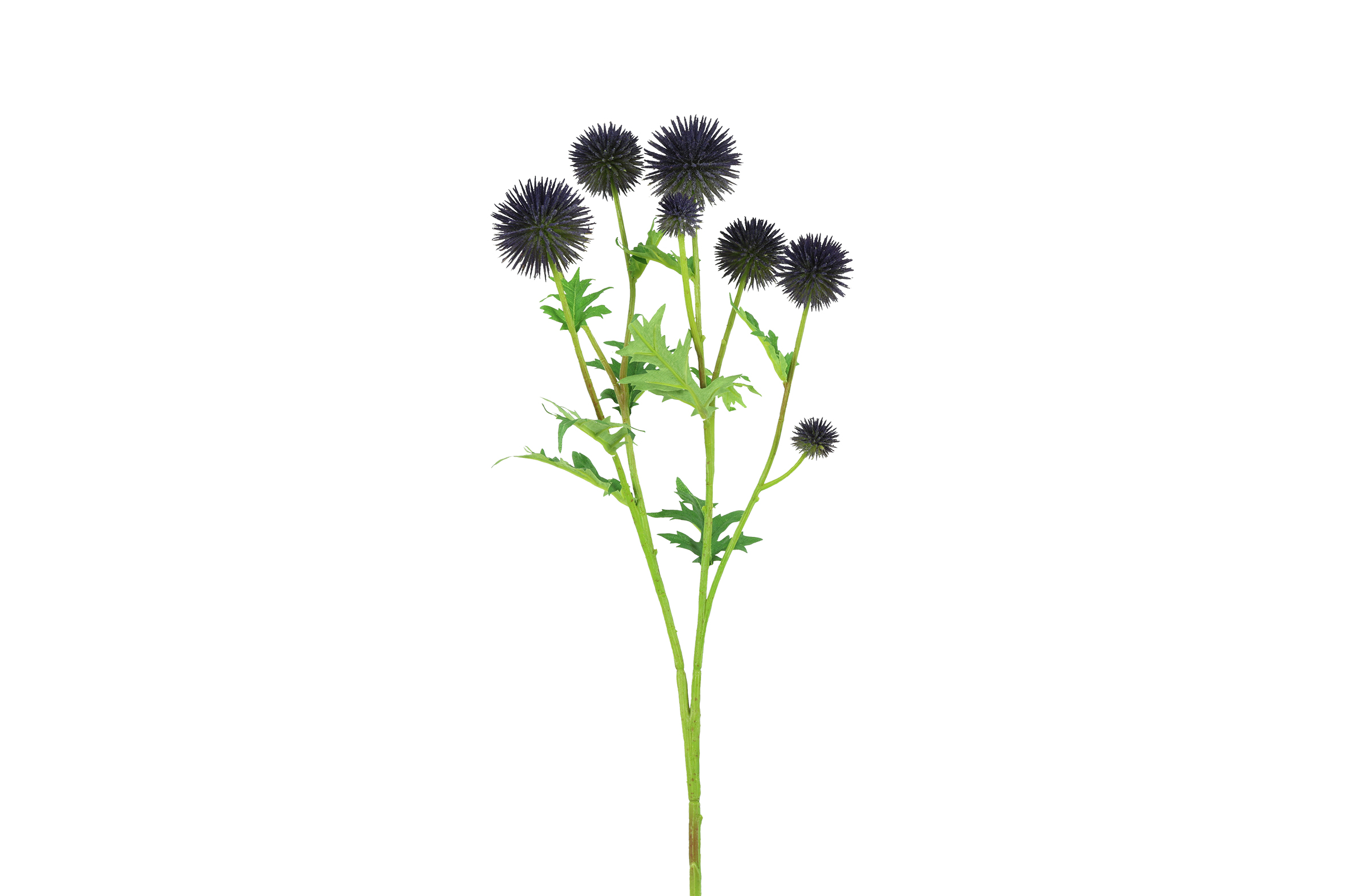 Gervi Echinops 71cm fjólublá