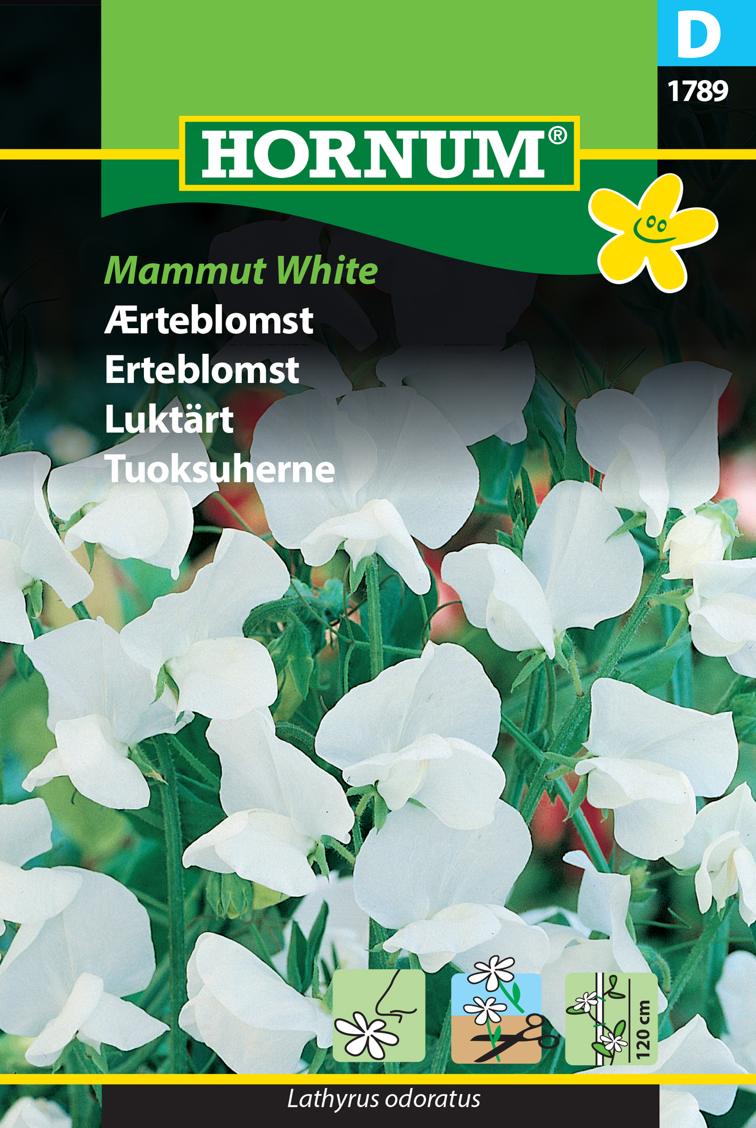 Fræ Fuglertur Lathyrus odoratus Mammut White