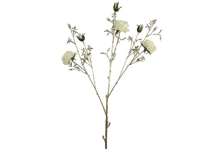 Gervi Rós 112cm cream