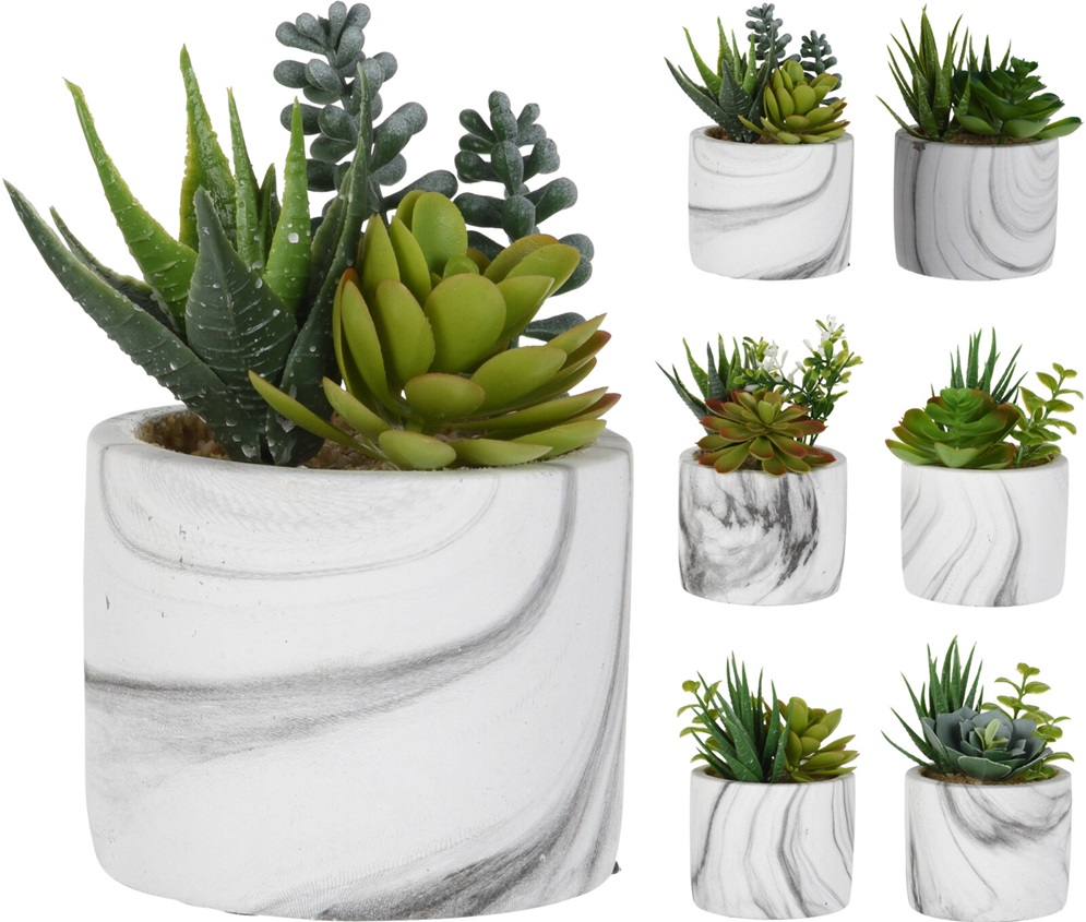 Gervi þykkblöðungar 9*15cm í potti