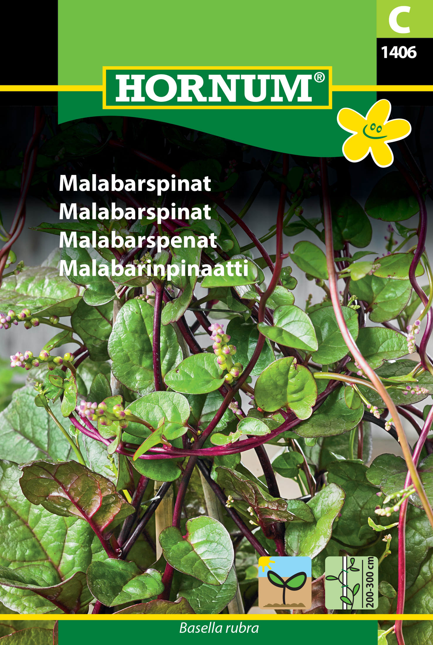 Fræ Malabarspínat Basella rubra