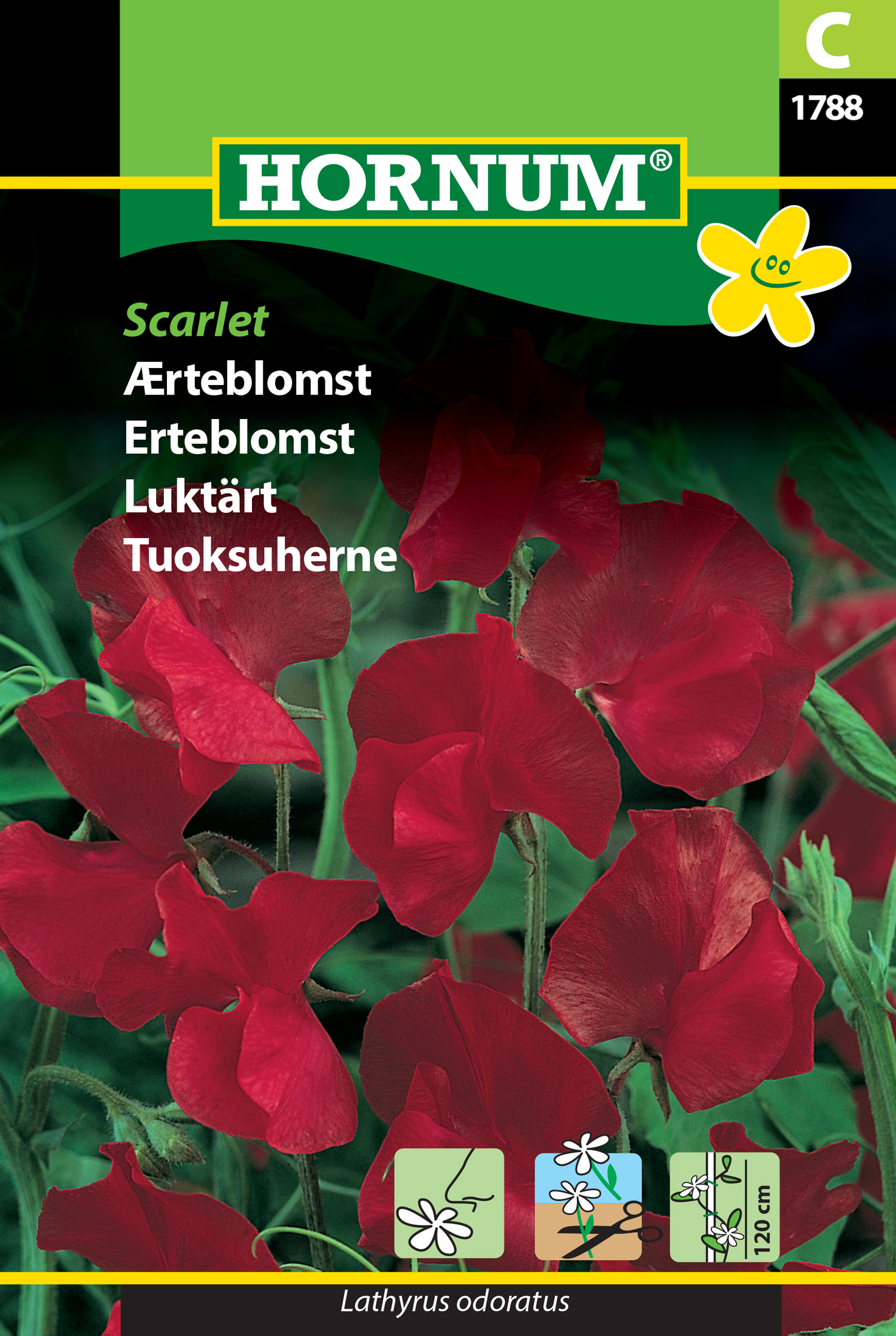 Fræ Fuglertur Lathyrus odoratus Scarlet