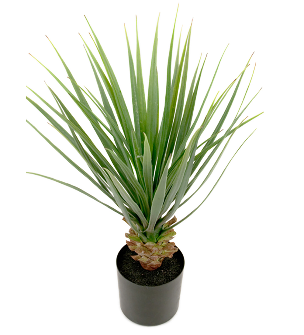 Gervi Yucca 58cm