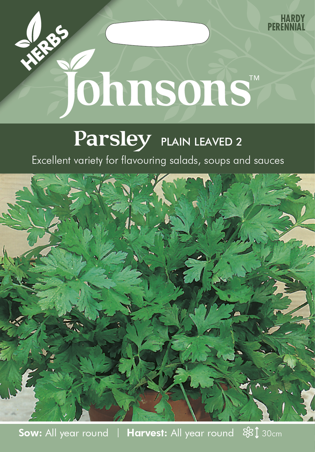 Fræ Parsley Plain Leaved 2