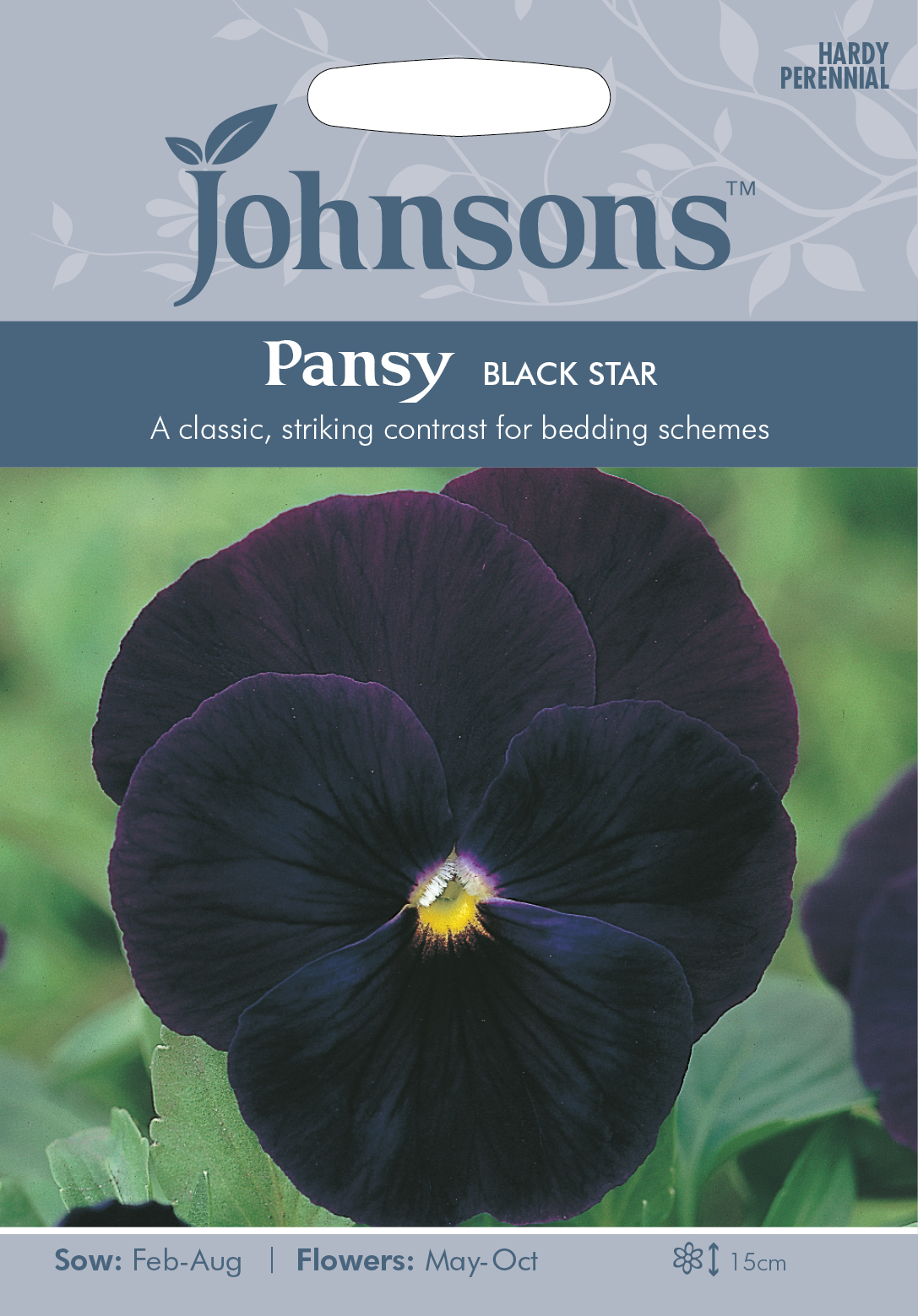 Fræ Pansy Black Star