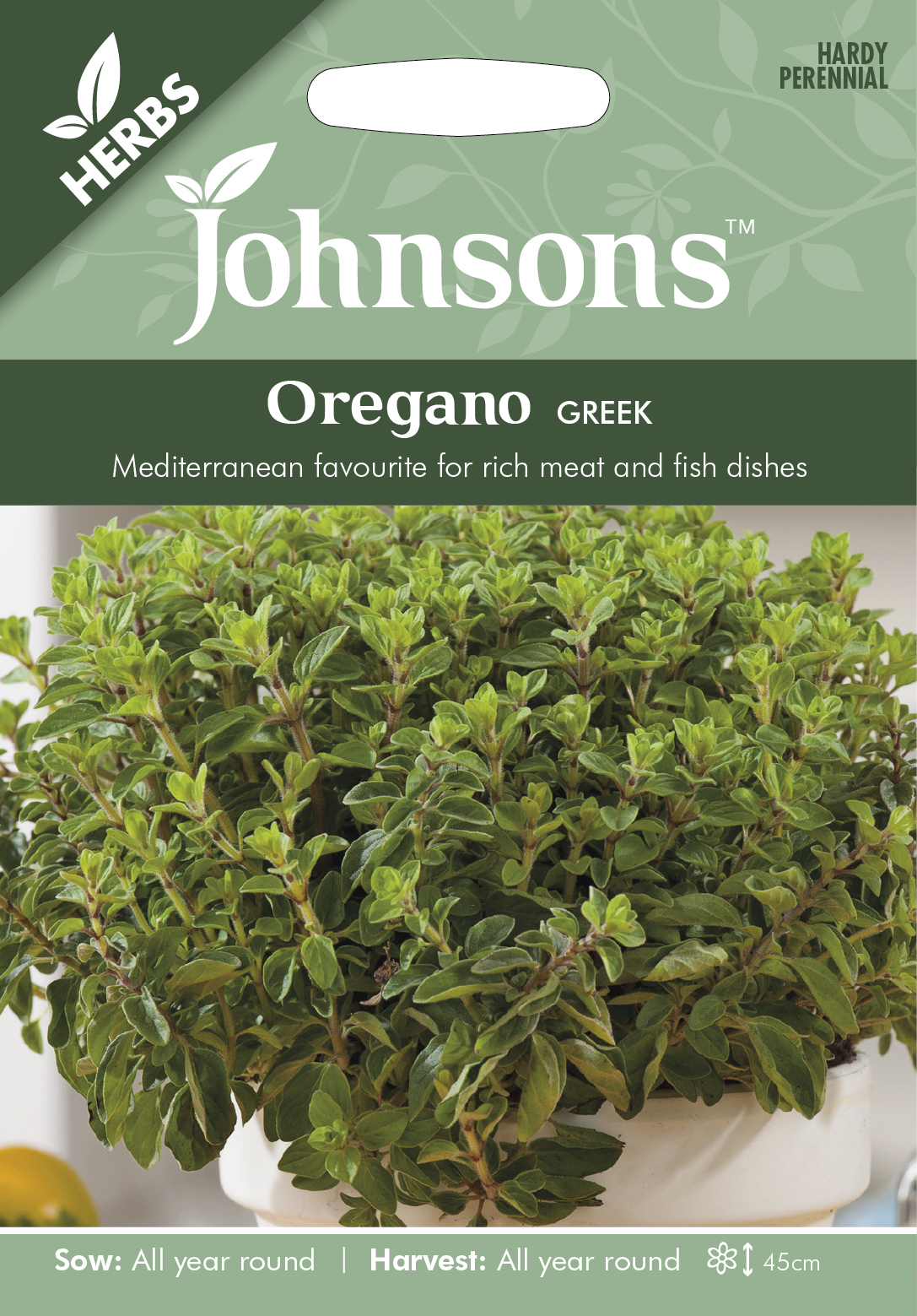 Fræ Oregano Greek