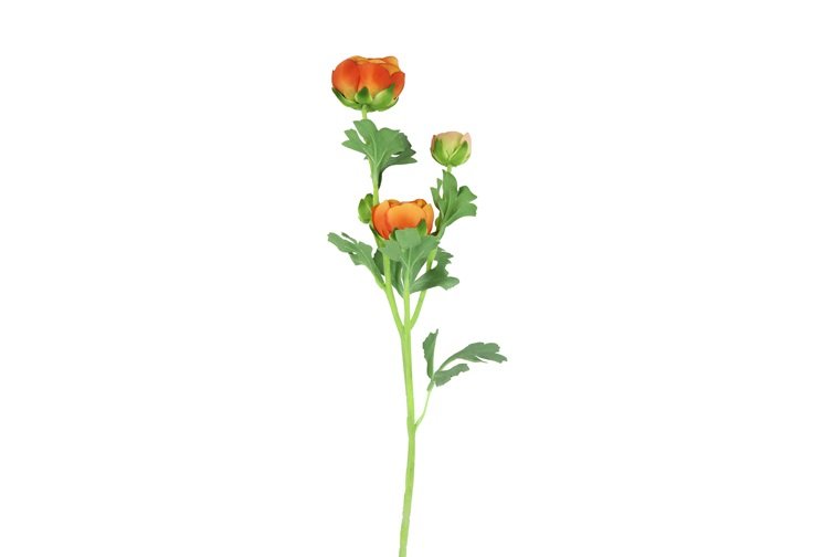 Gervi Rananculus 66cm orange