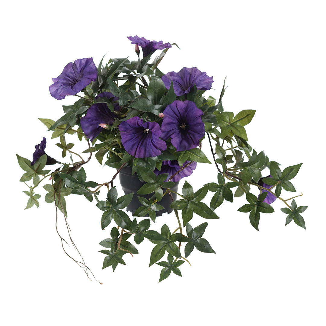 Gervi Ipomoea fjólublá í pt. 45cm