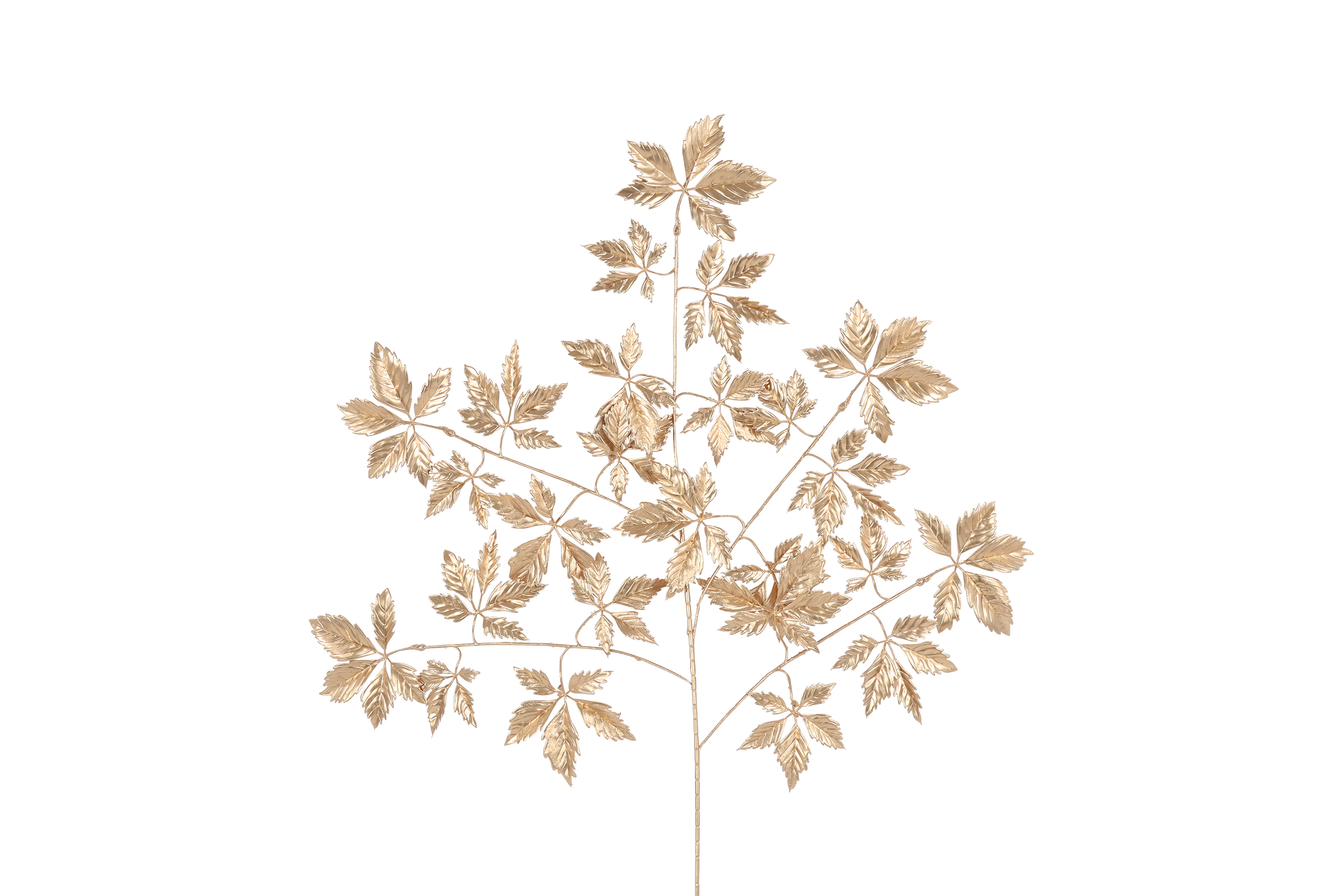 Gervi Arachniodes gyllt 100cm