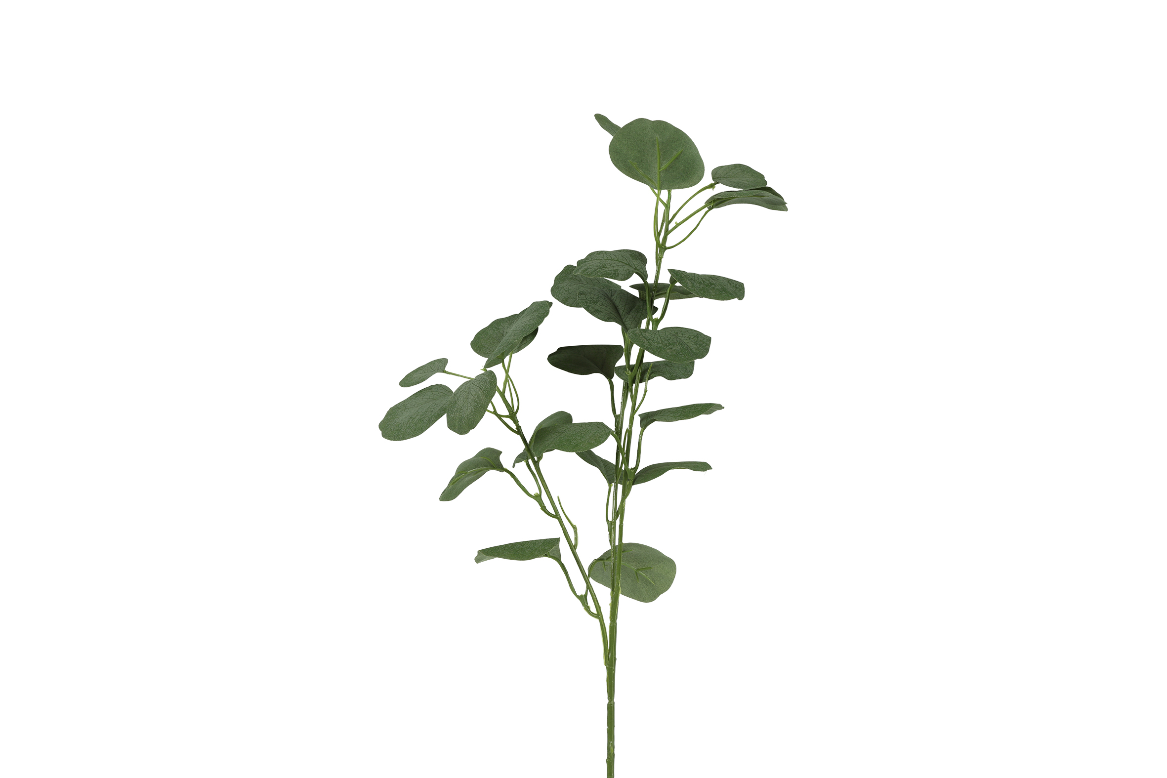 Gervi Eucalyptus h65cm græn