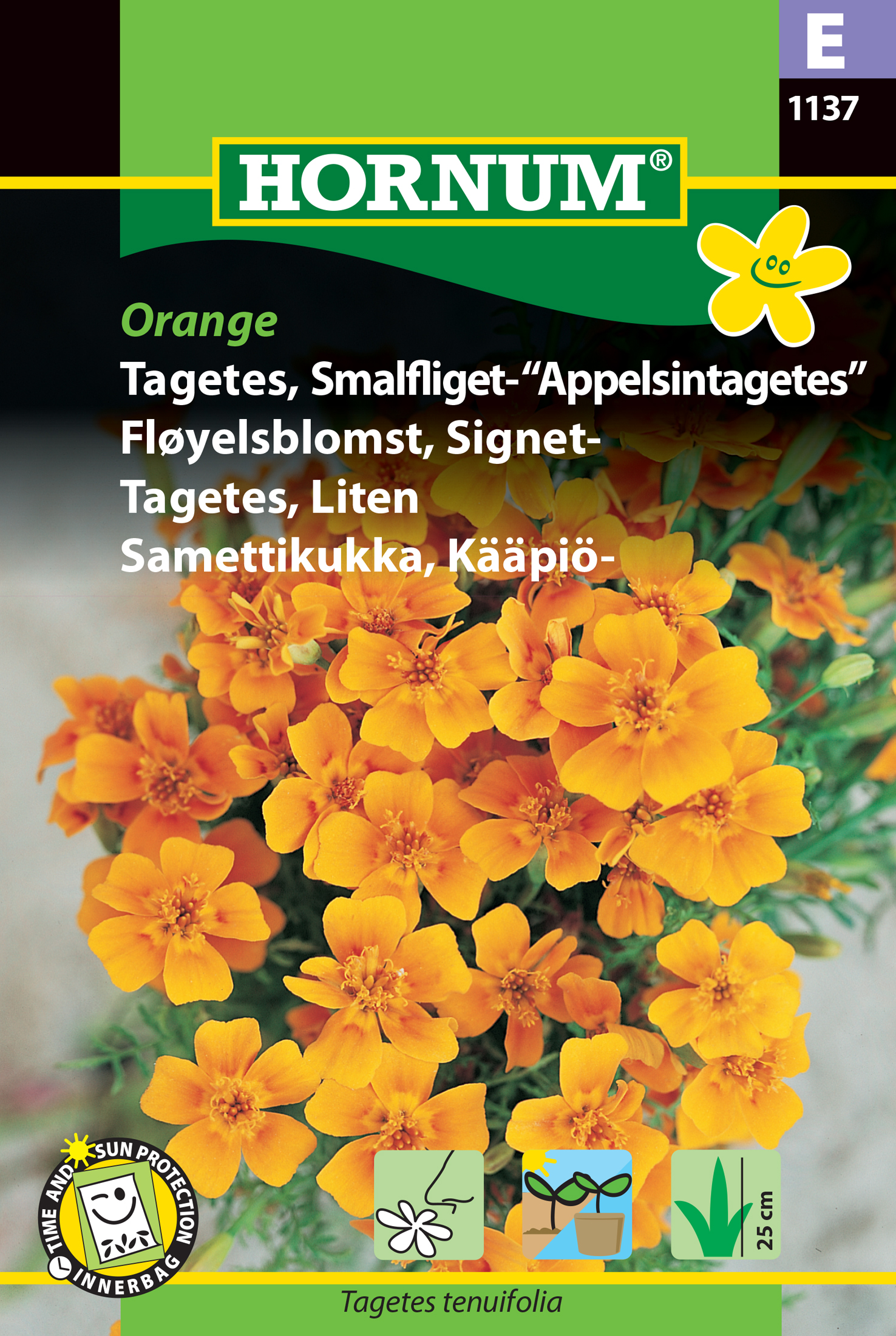 Fræ Dúkablóm Tagetes tenuifolia Orange