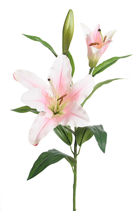 Gervi Lilja ljósbleik 70cm