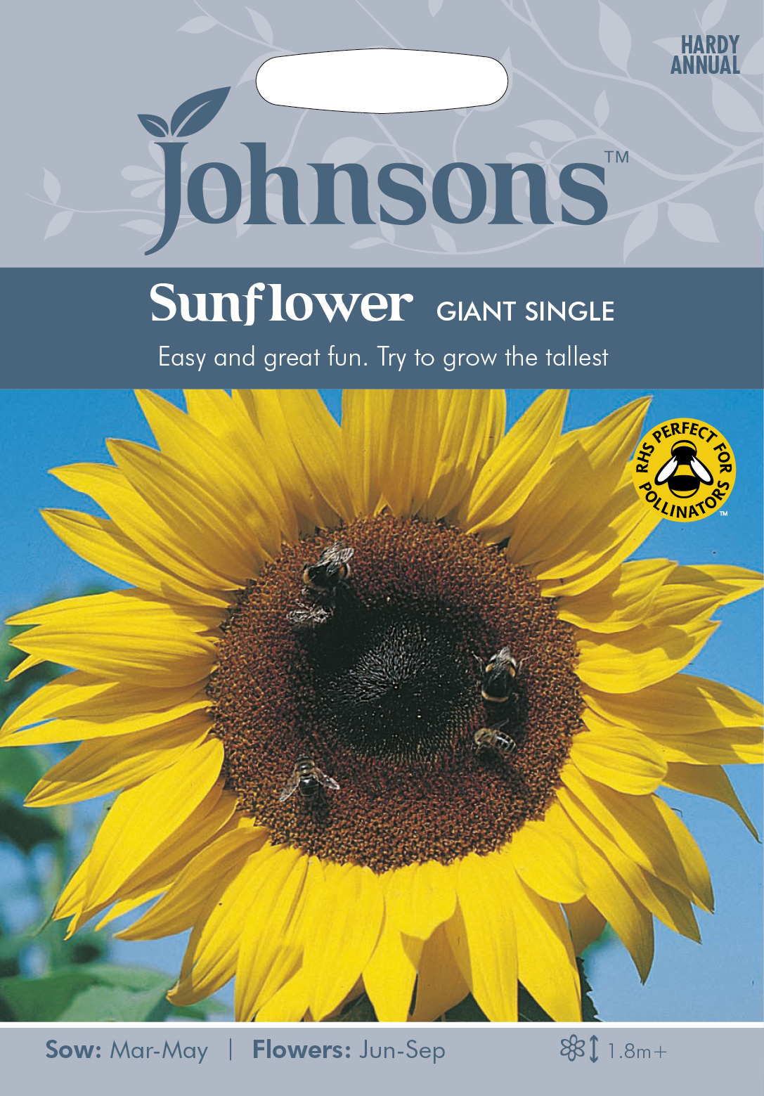 Fræ Sunflower Giant Single