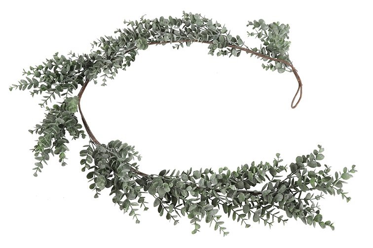 Gervi Eucalyptus lengja 155cm